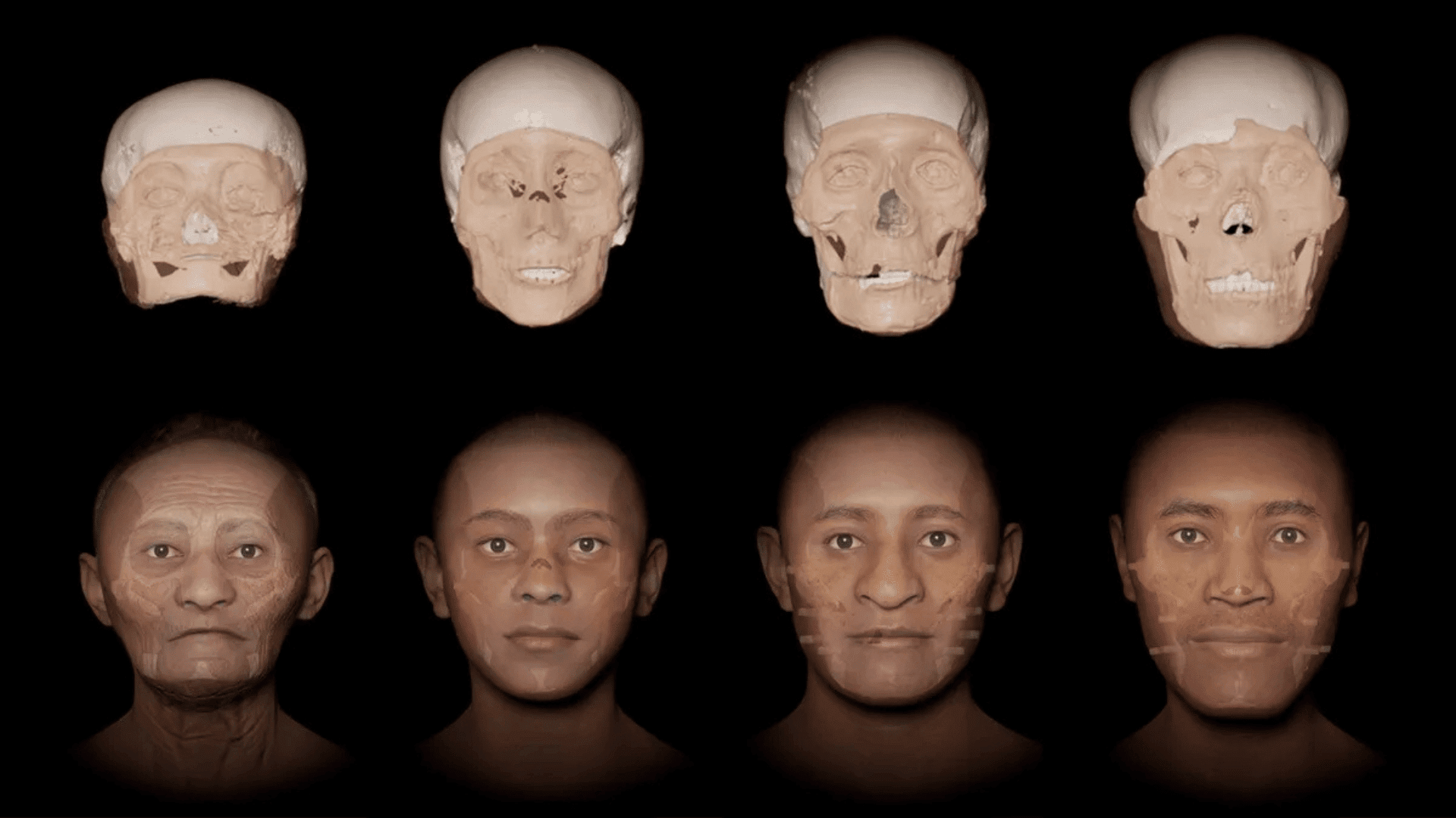 Digitally unmasked skulls; Photo: Facial depictions by Face Lab, Liverpool John Moores University