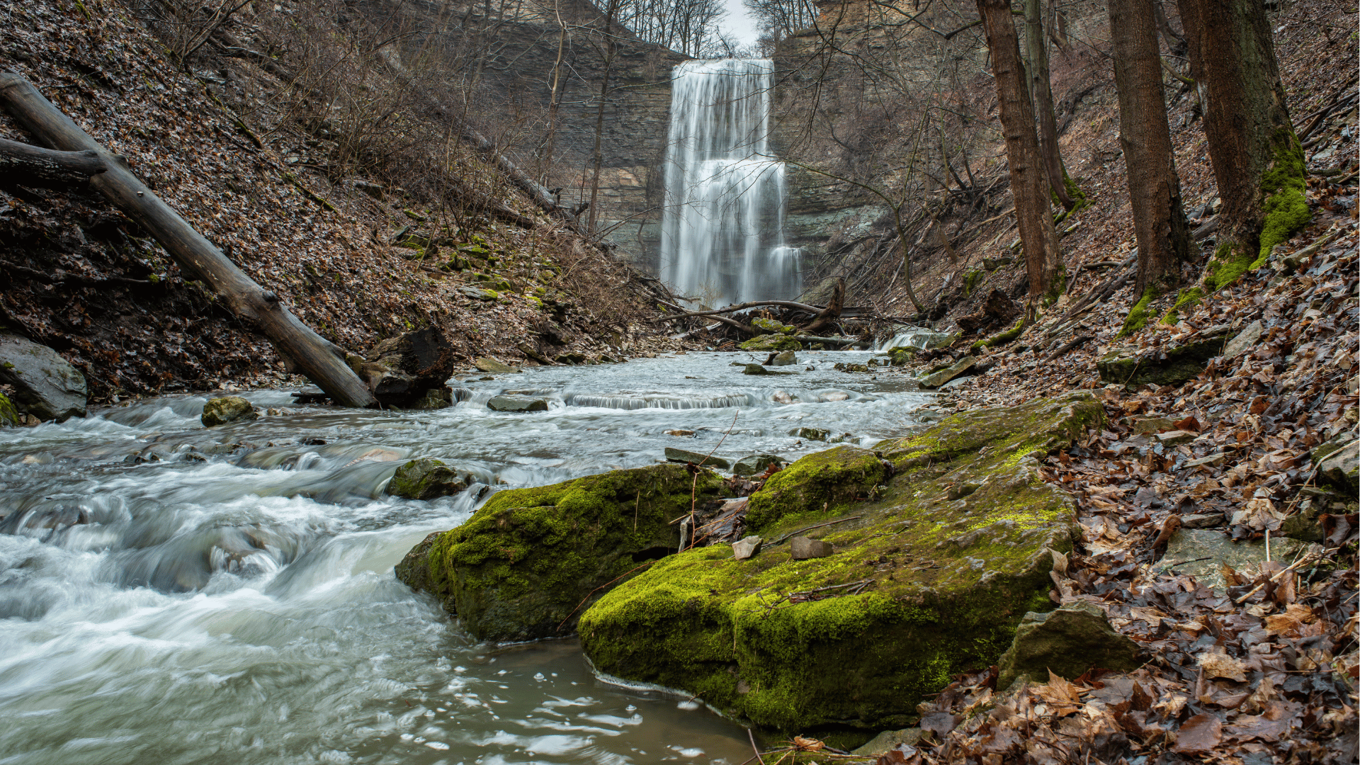 Felkers Falls
