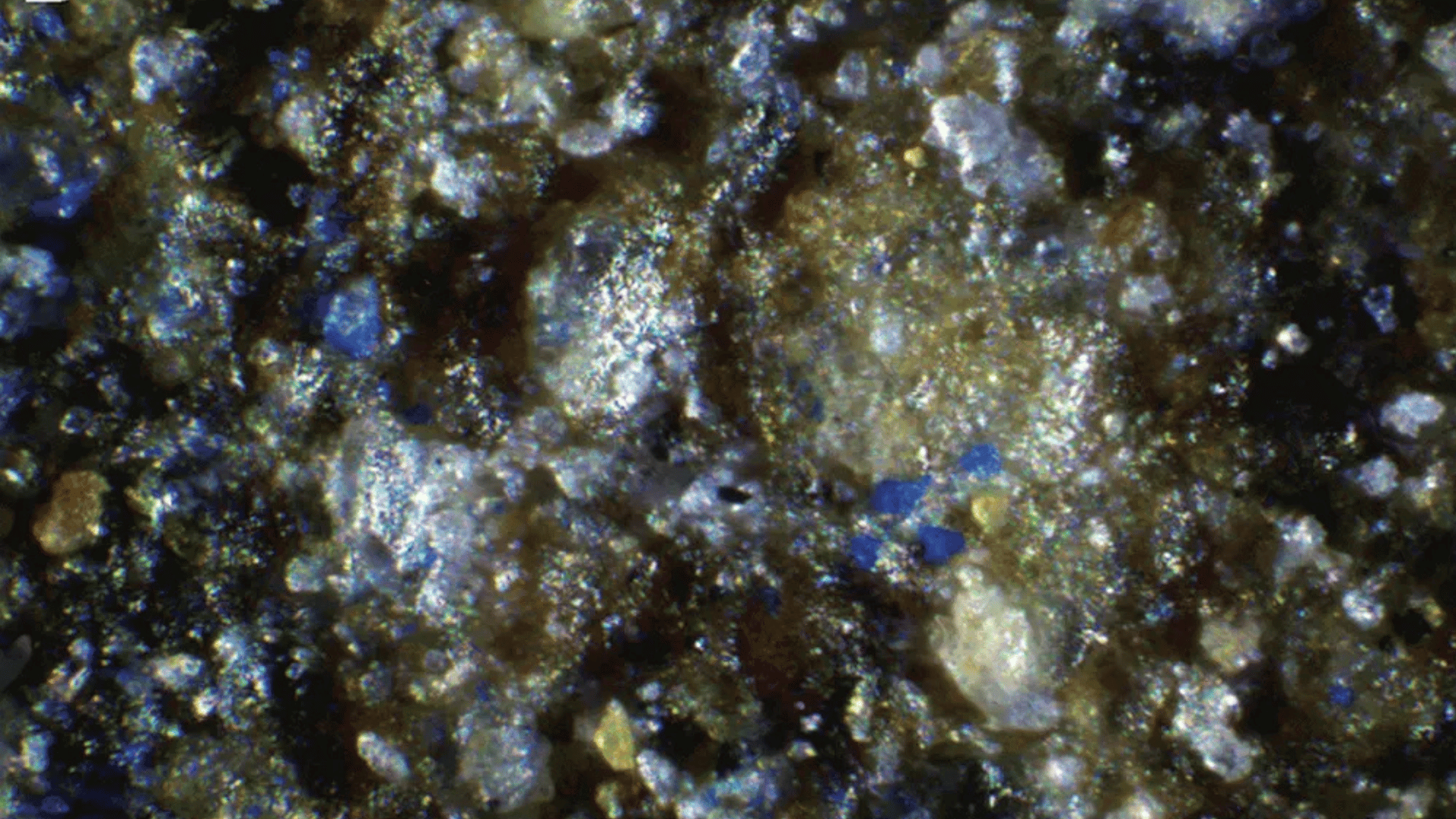 Magnified view of tiny blue dots