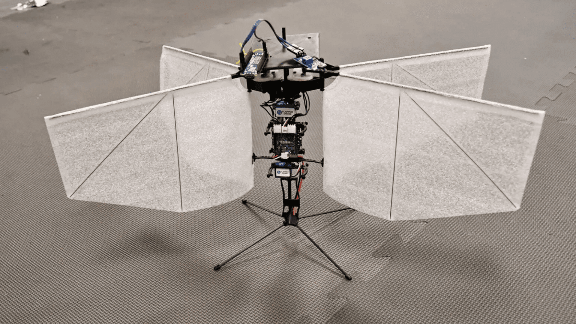 Moth-like drone that navigates without AI using an extremum-seeking feedback system. Michael Miller:UC