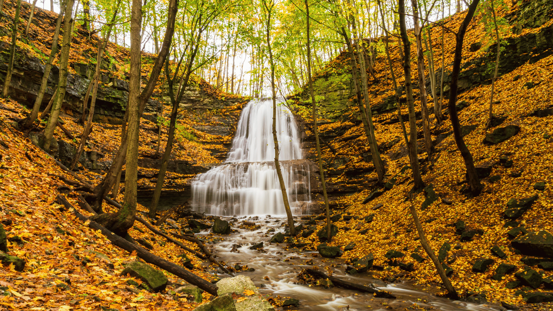 Sherman Falls