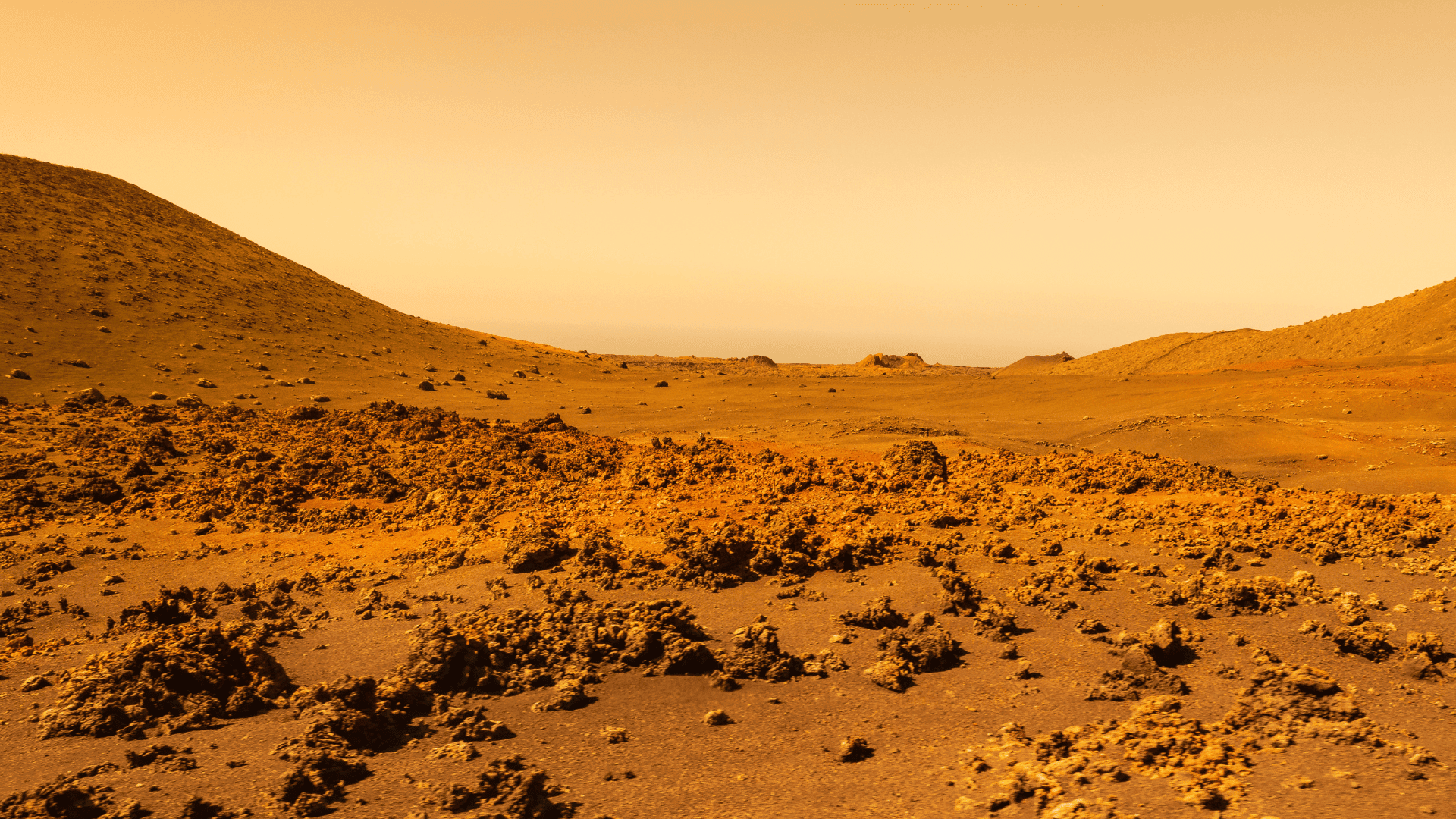 Surface of Mars; Photo: Wlad74:Shutterstock