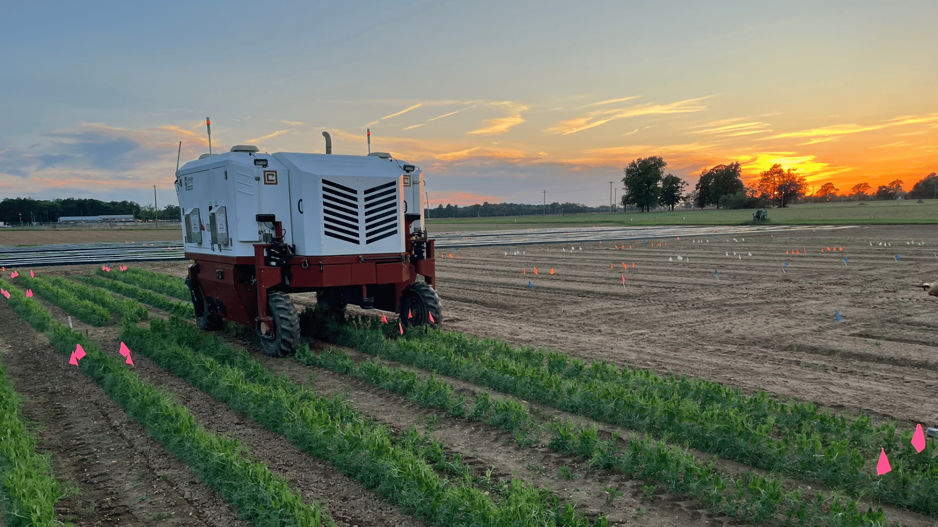 Laser weeder