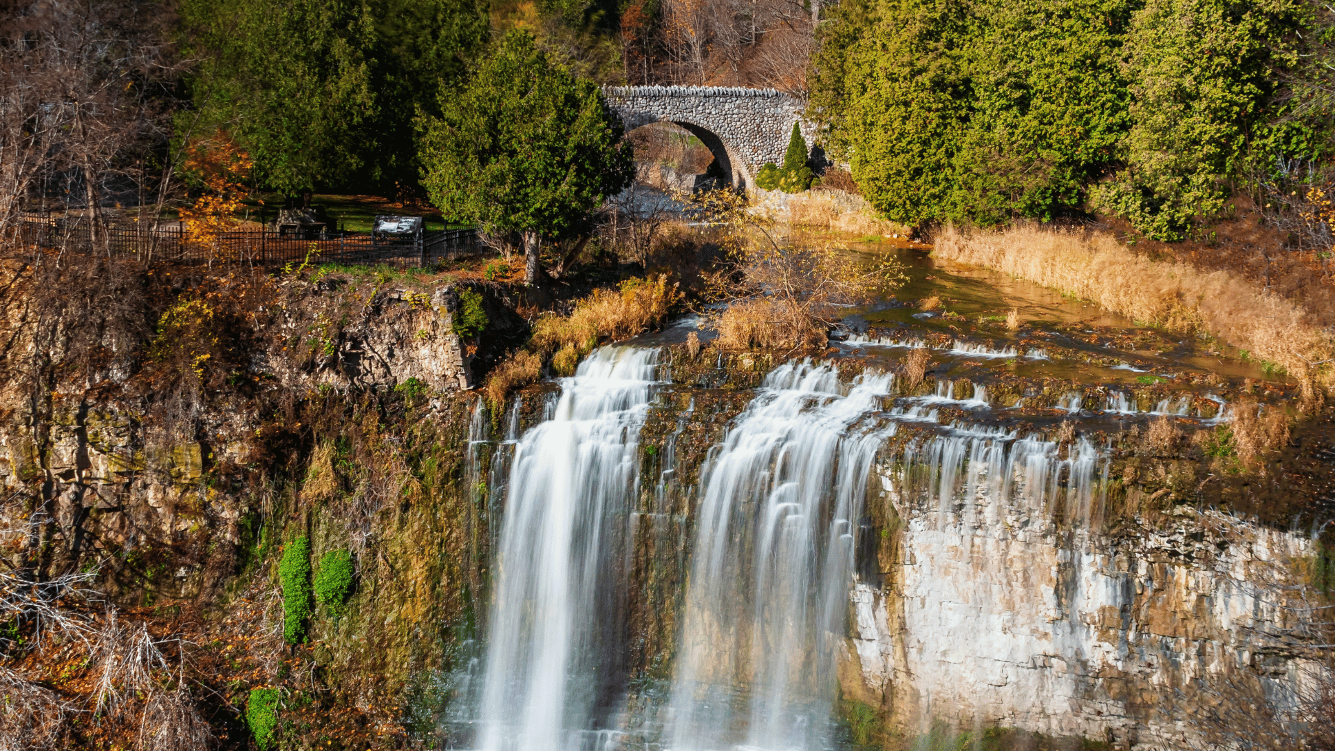 Webster's Falls