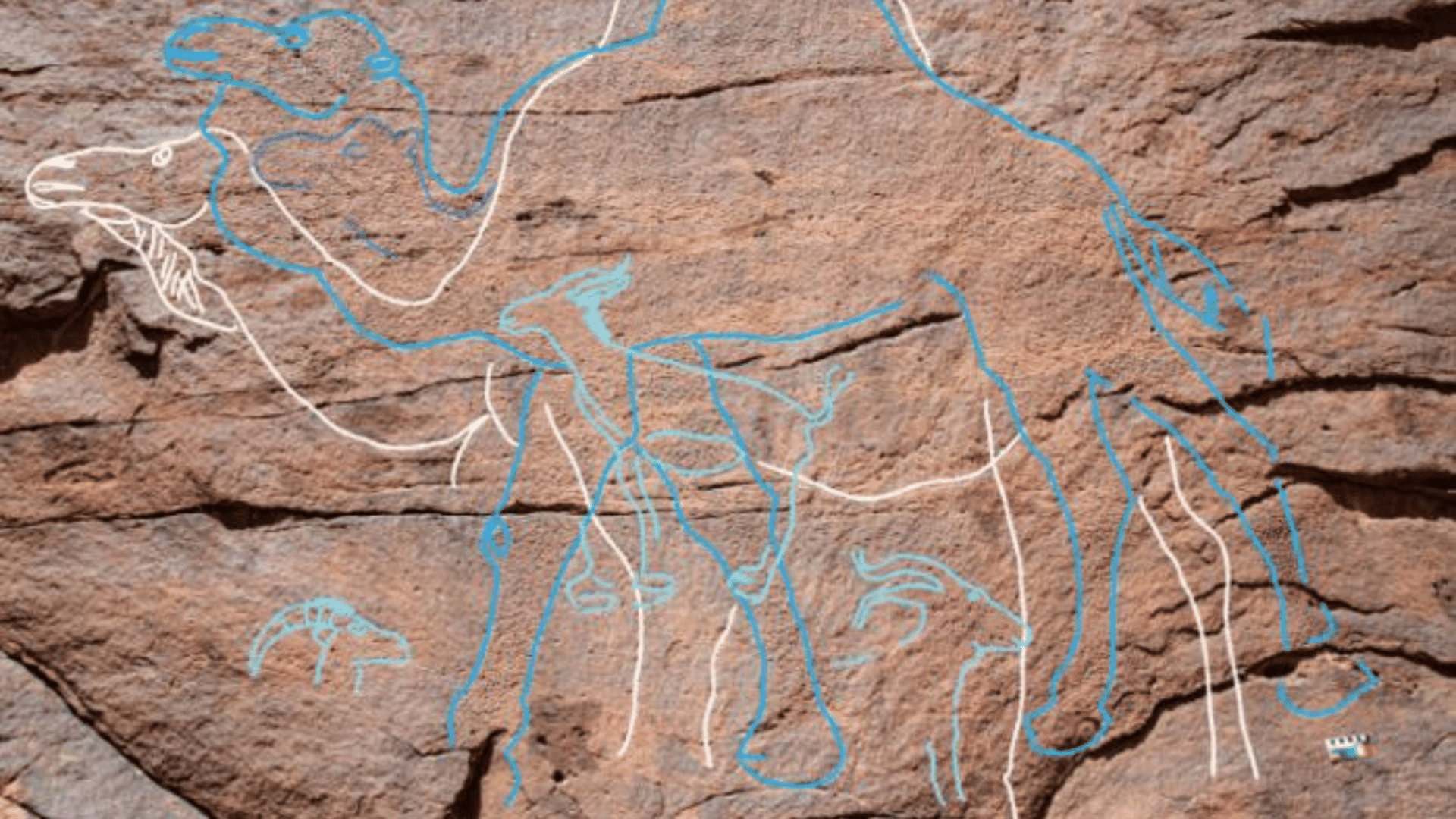The rock art highlighted to see the ancient carvings better