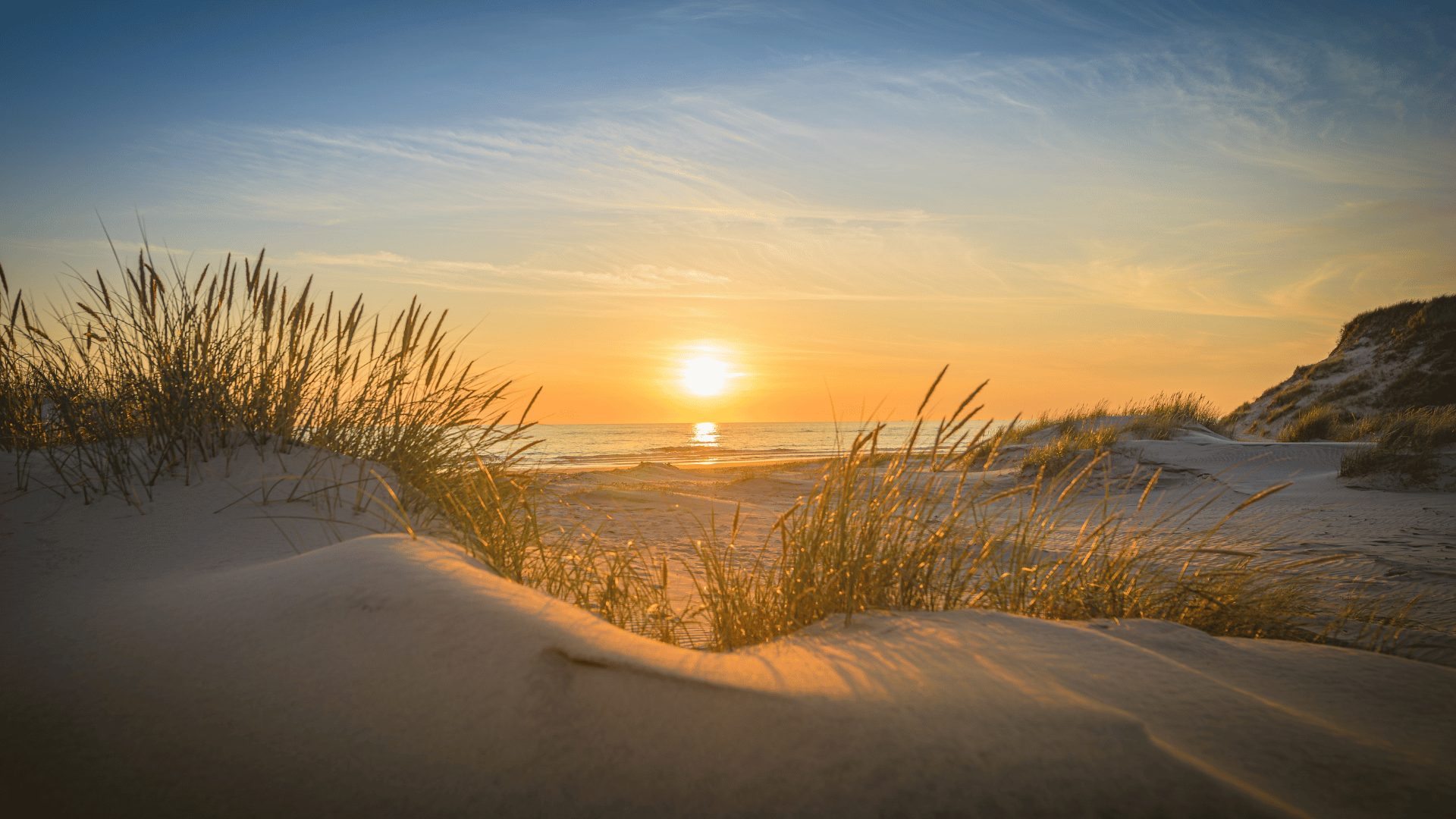 Beach and Ocean natural environment Beach and Ocean natural environment