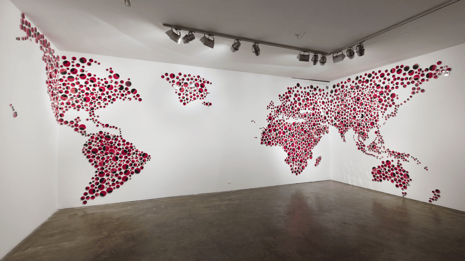 Evolving Mold in Petri Dishes 2014-15