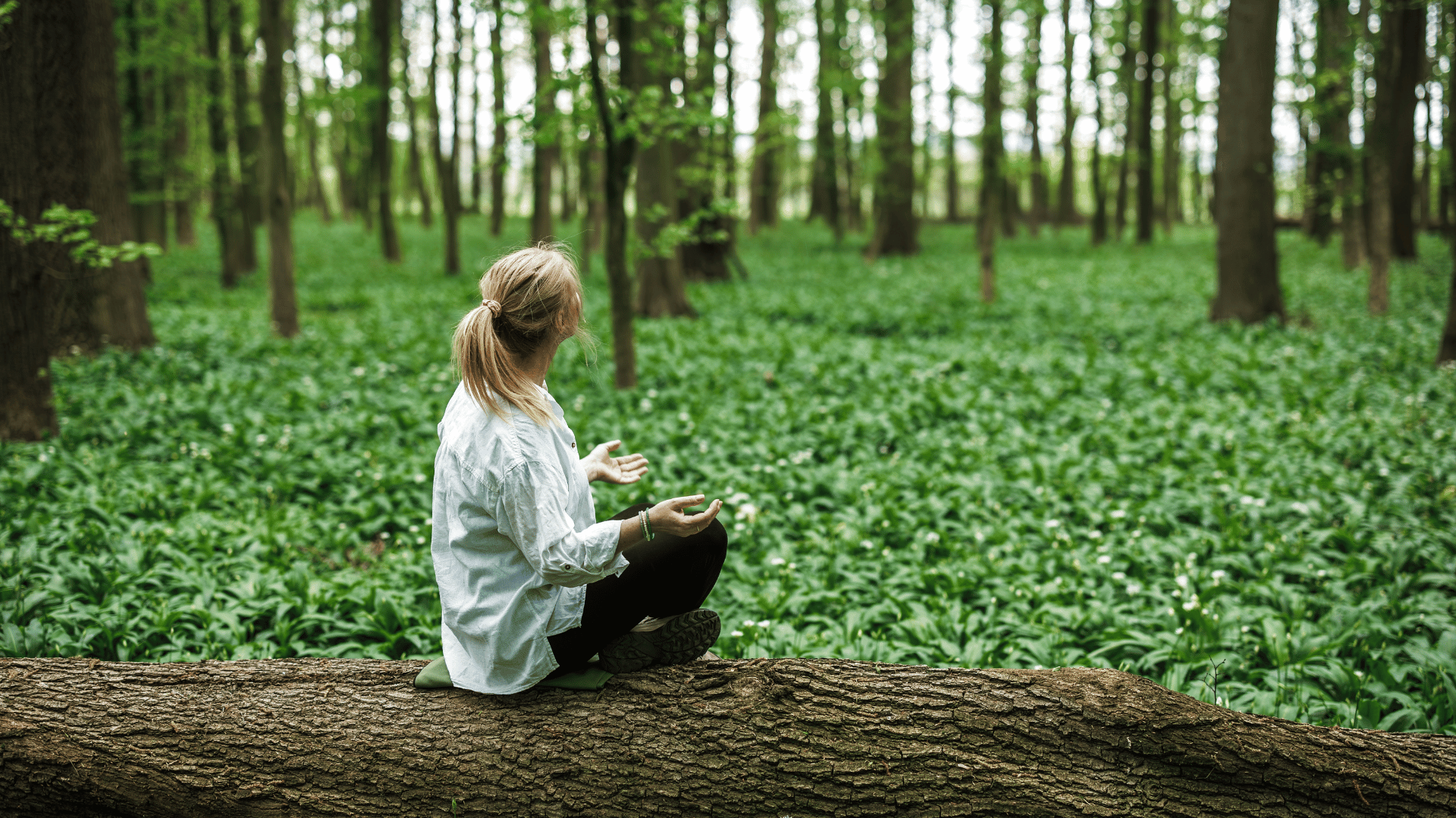 Person meditating in the forest