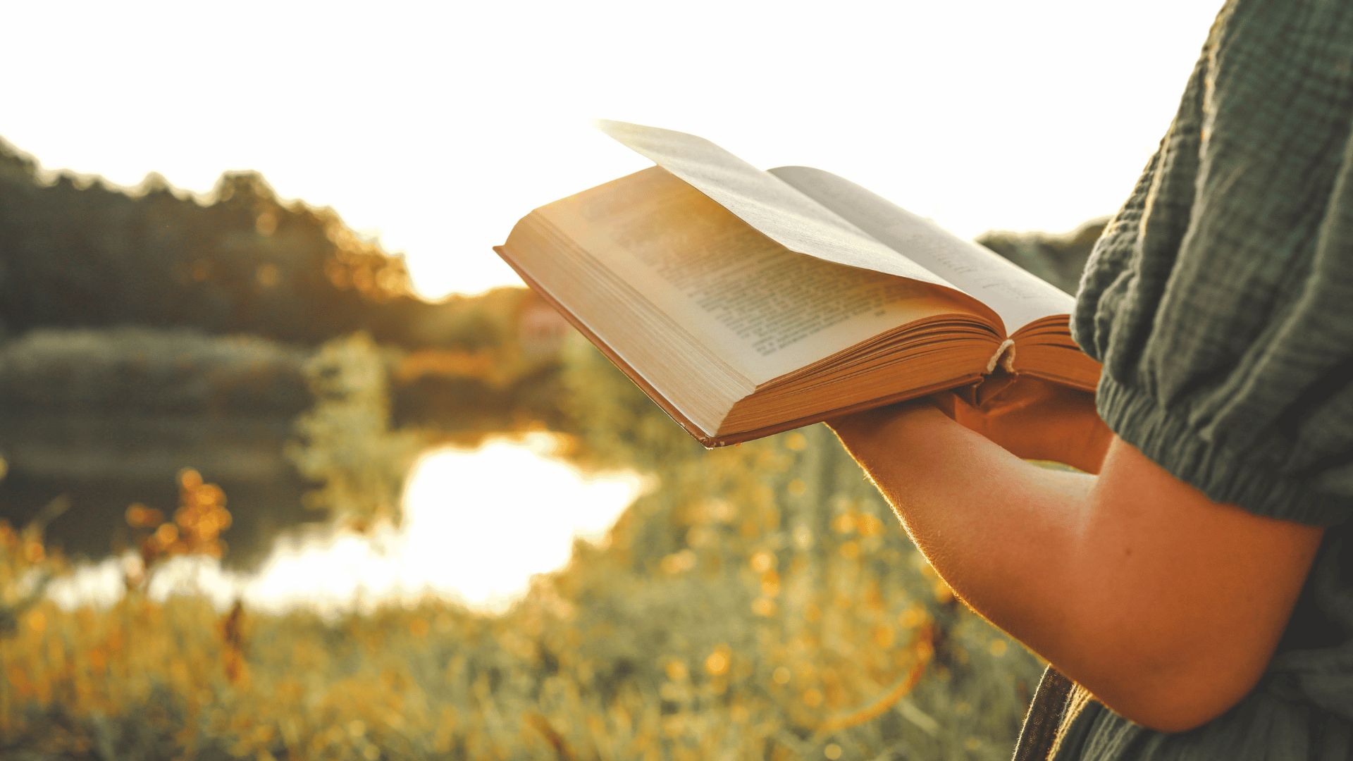 Person reading; Photo: shine.graphics:Shutterstock