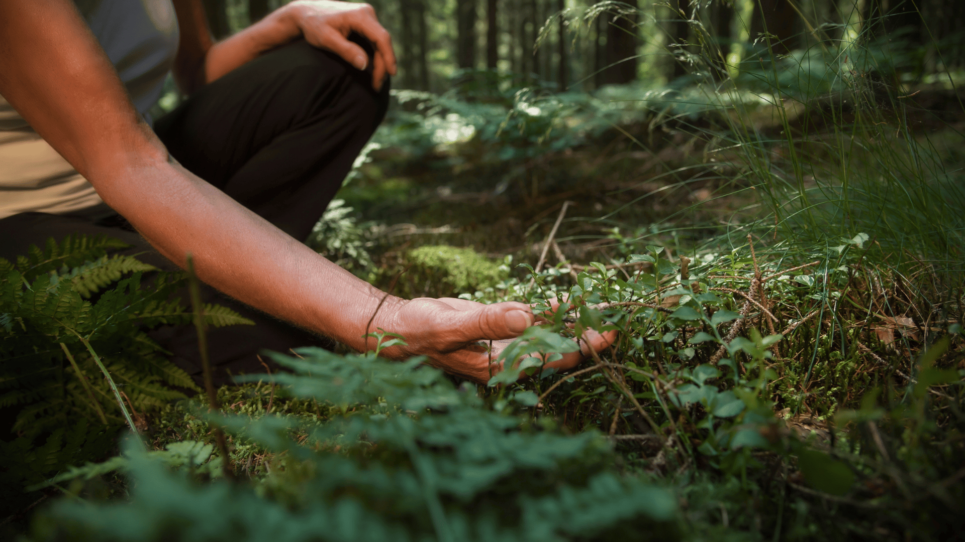 Person touching plants forest bathing; Photo: Tanja Esser:Shutterstock