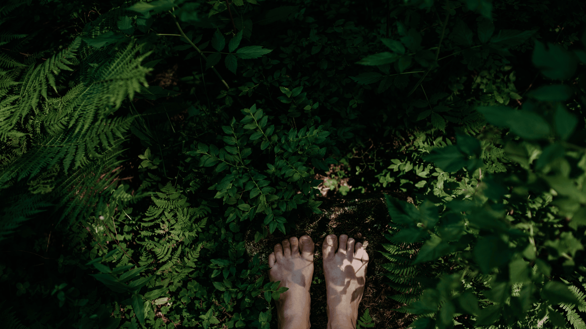 Person walking in forest