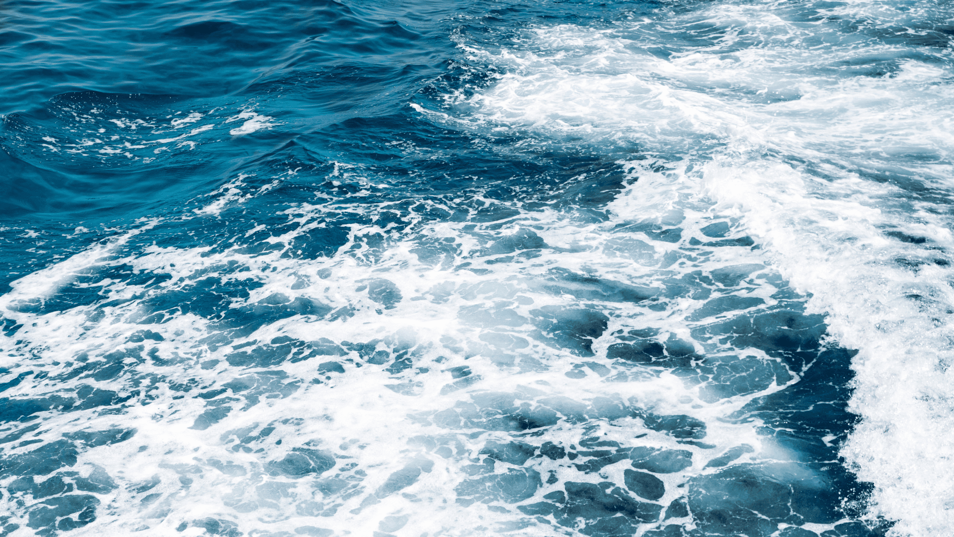 Seawater Uranium extraction