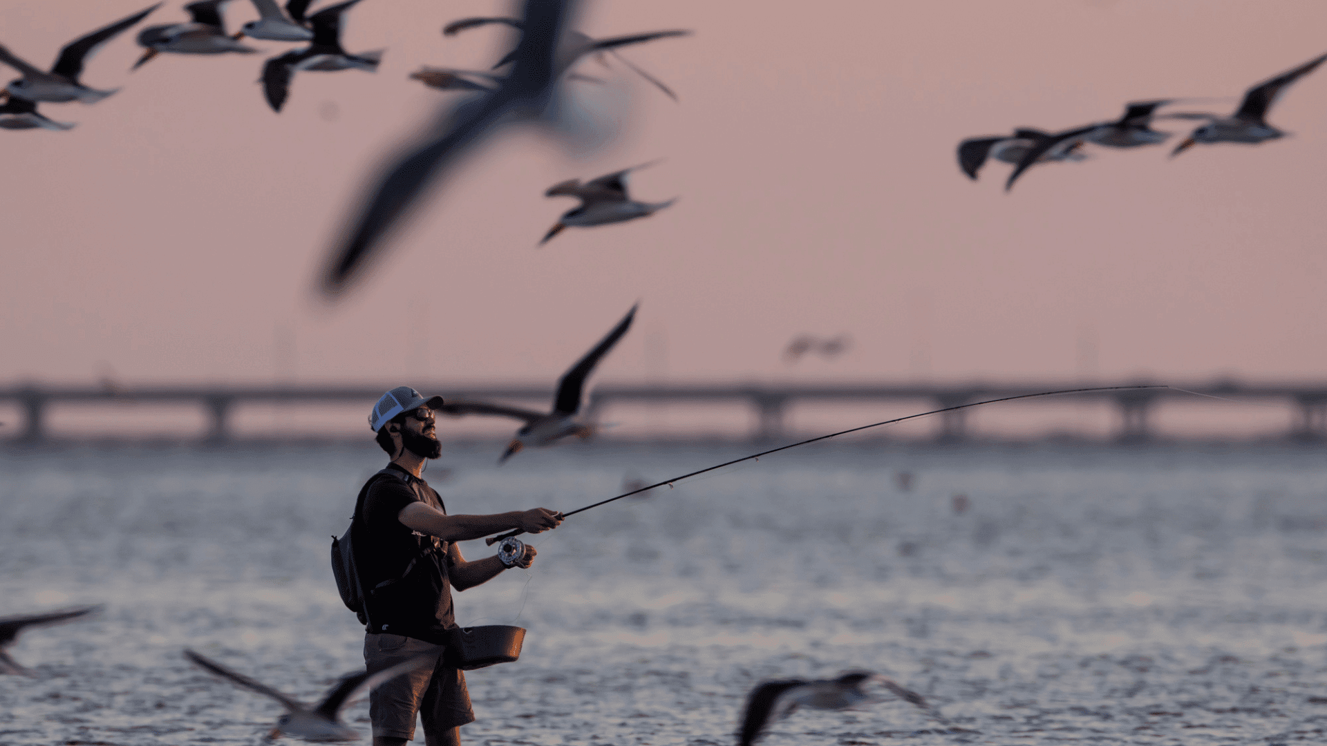 Man fishing birds