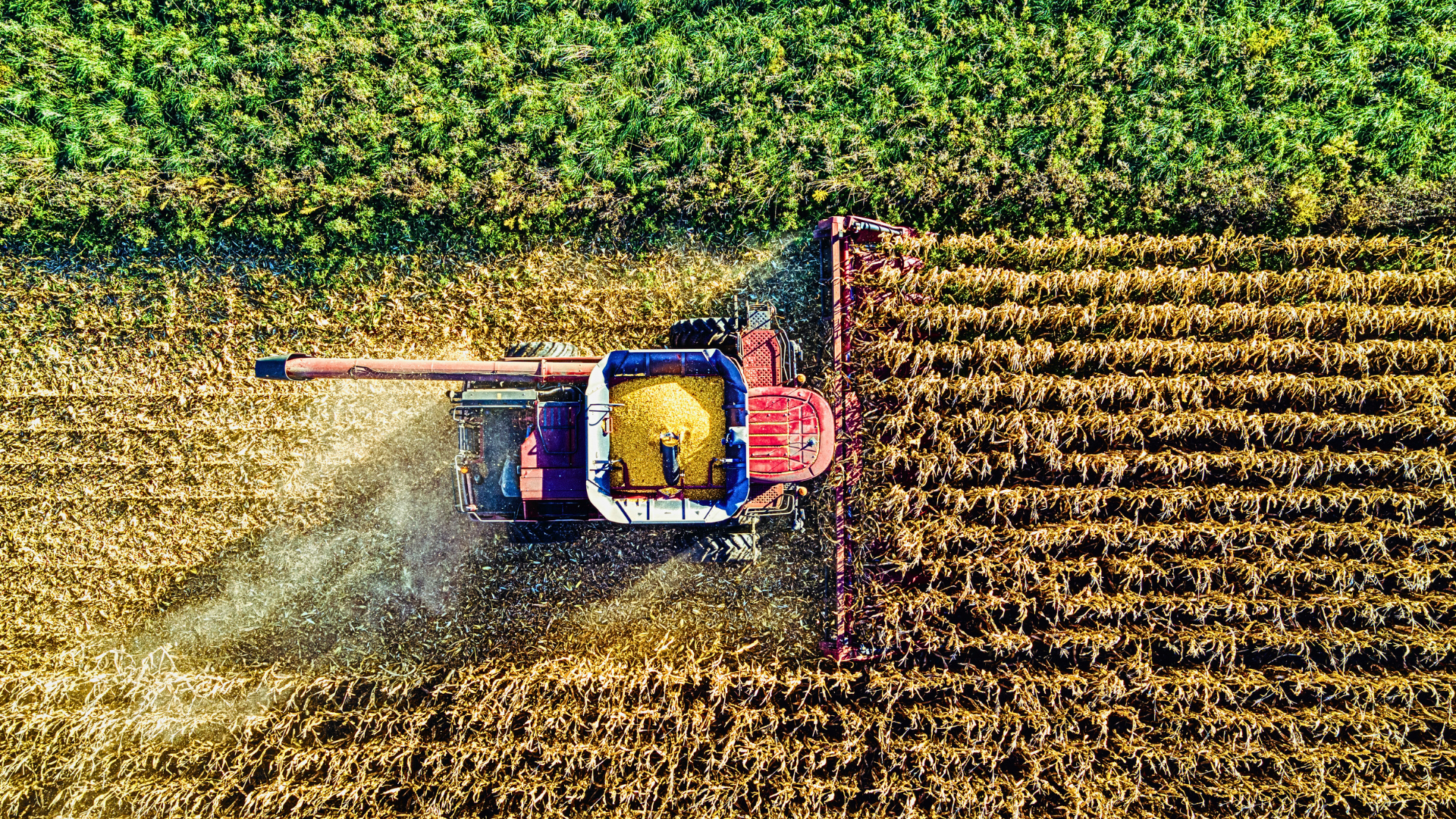 agriculture farming AI