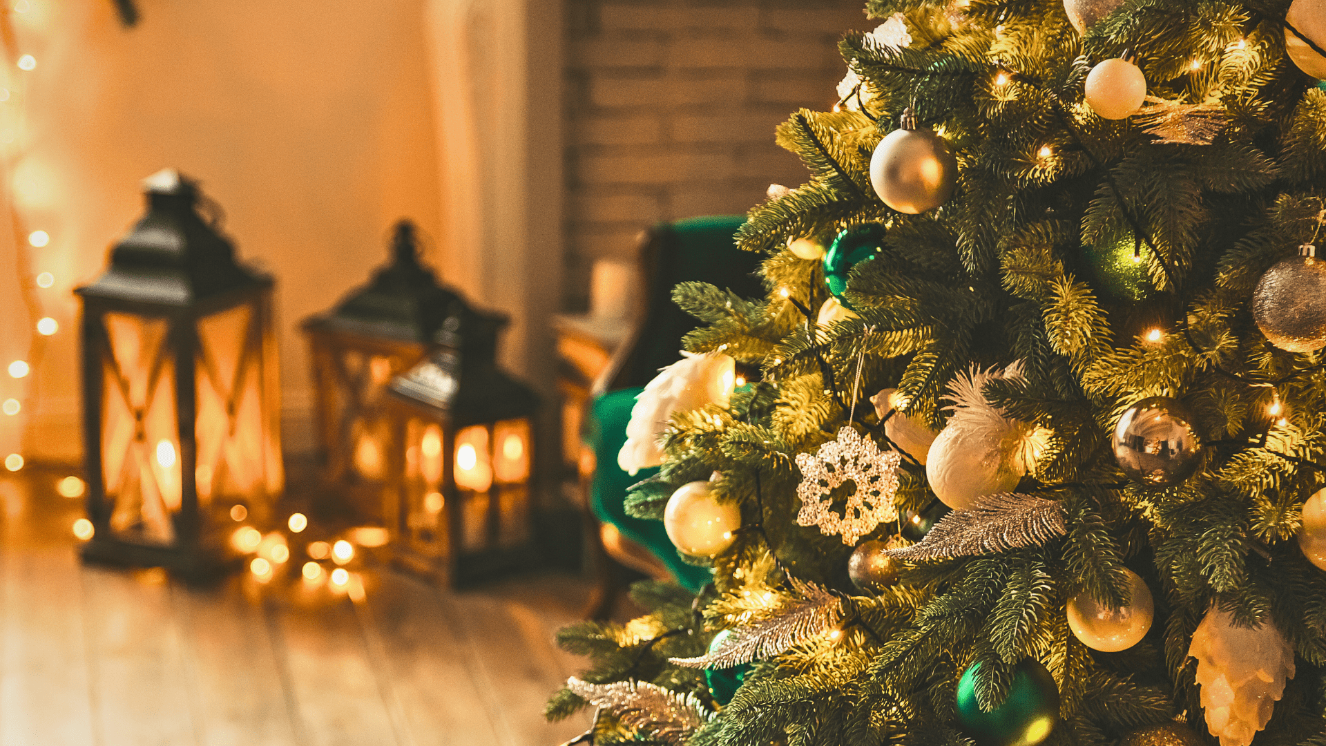 christmas tree disposal holidays