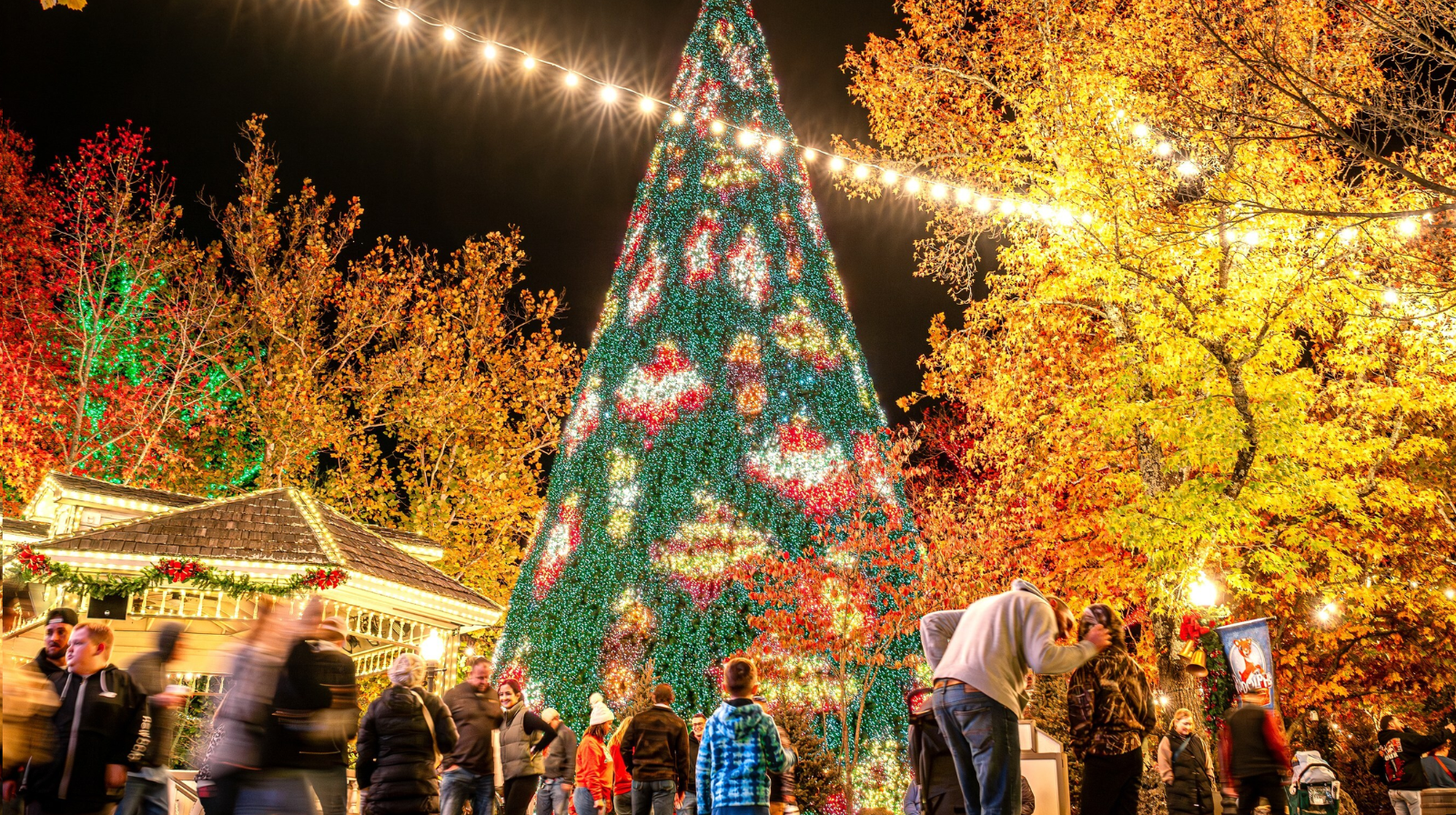 christmas tree silver dollar city
