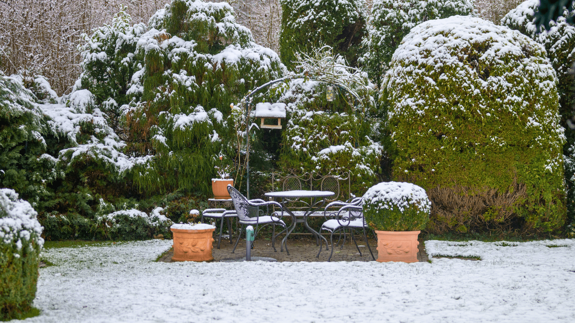 winter garden spring thaw debris gardening