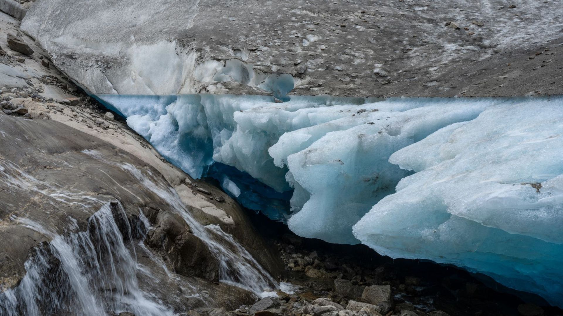 Constant Bloom Lucas Foglia