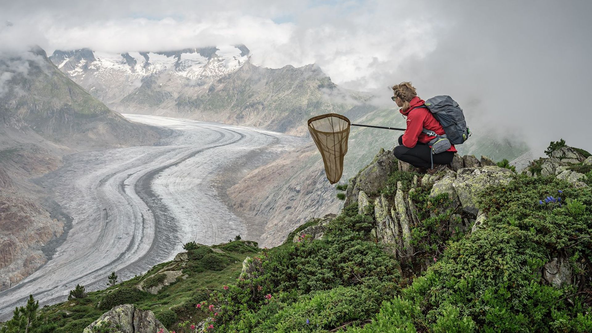 Constant Bloom Lucas Foglia