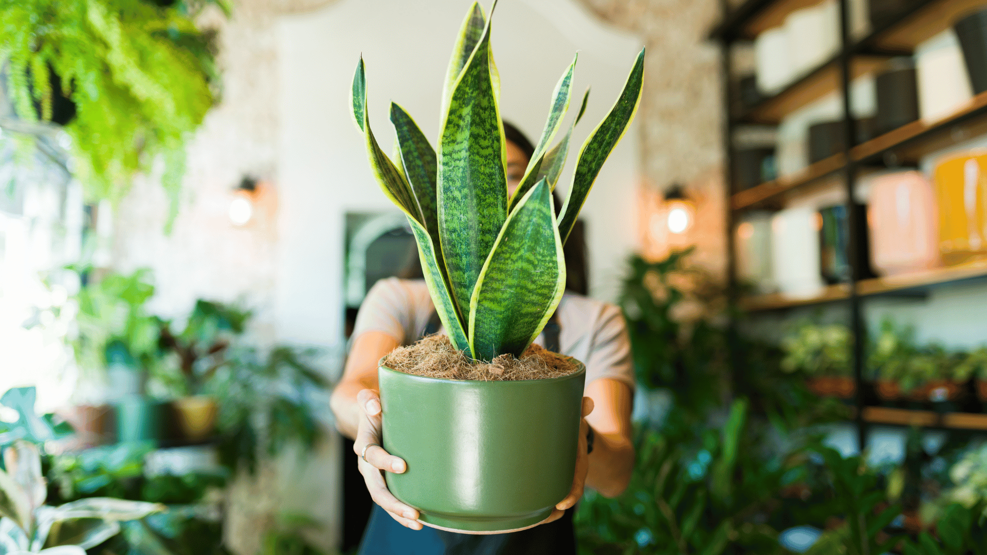 Plant trends 2026; Photo: antoniodiaz:Shutterstock