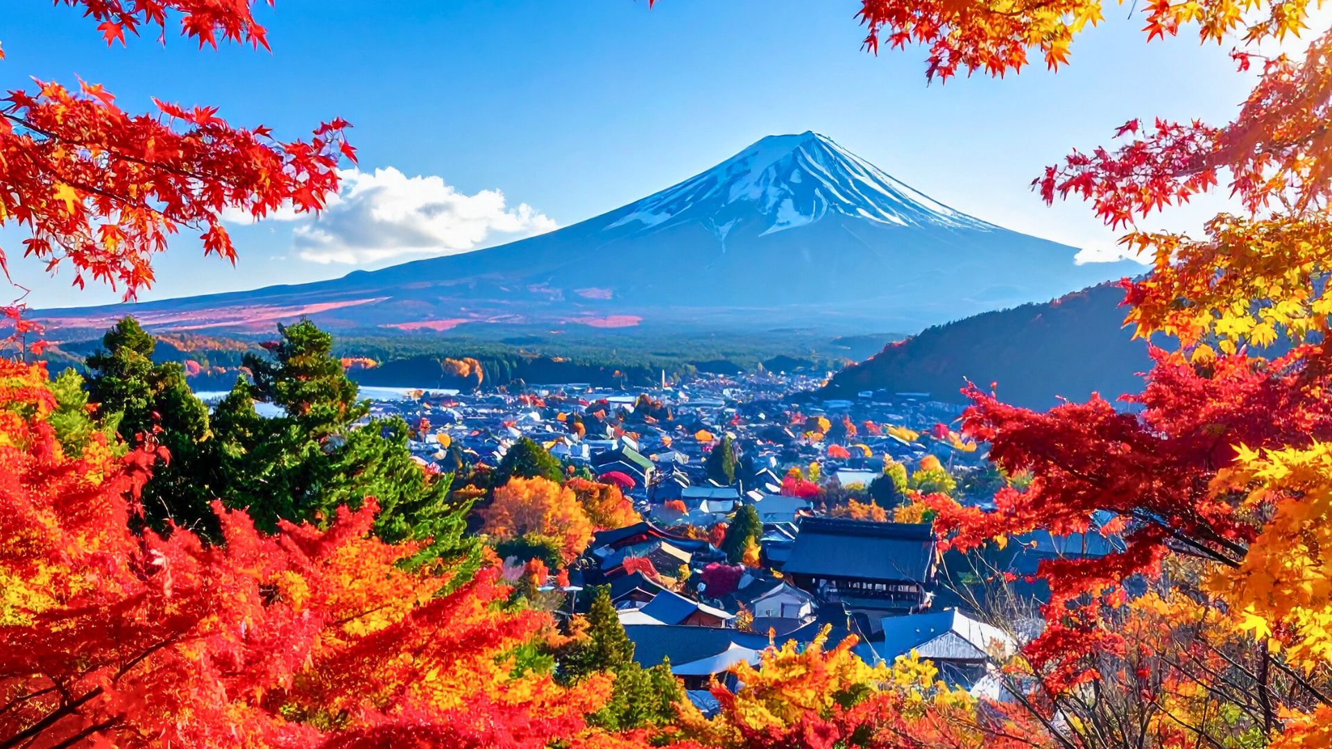 japan travel inspiration leaves fall