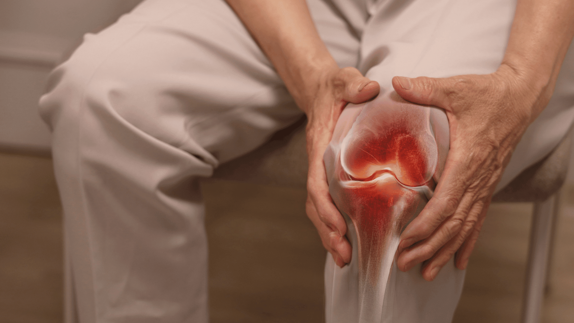 Knee cartilage Knee cartilage