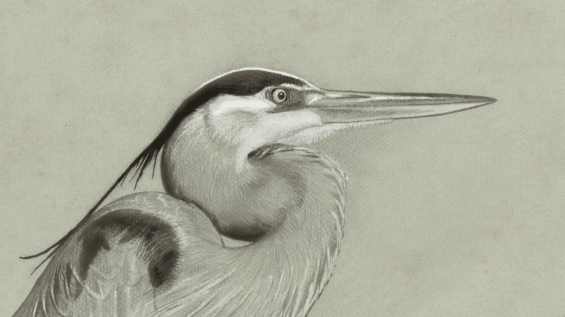 nature art; Photo: Gabriel Willow