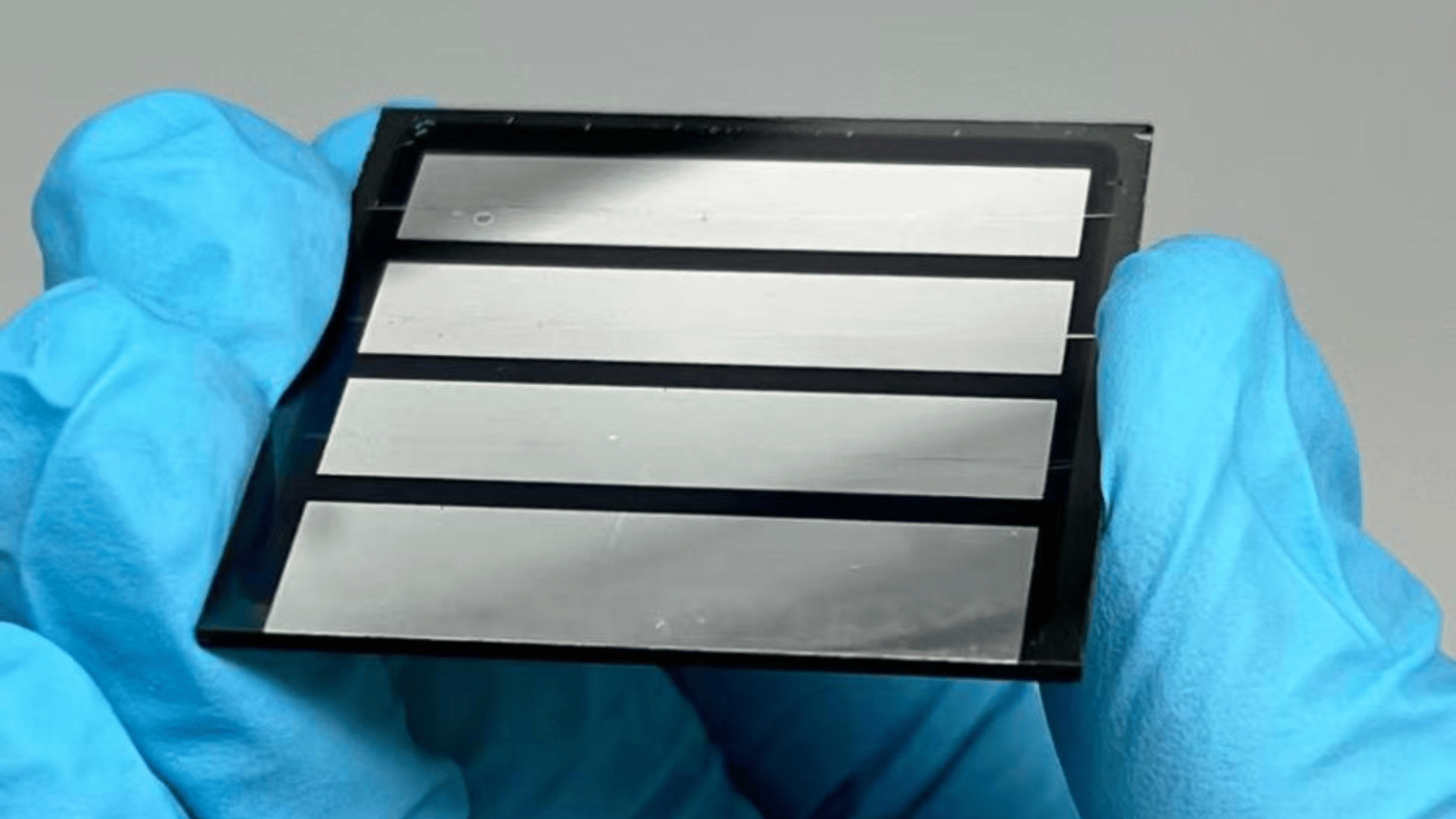 perovskite solar cell