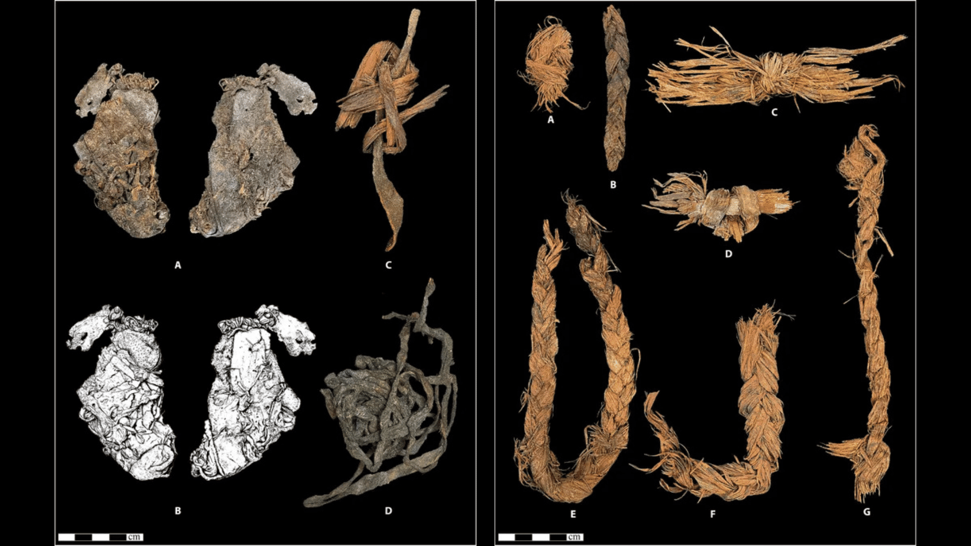 world's oldest known sewn clothing