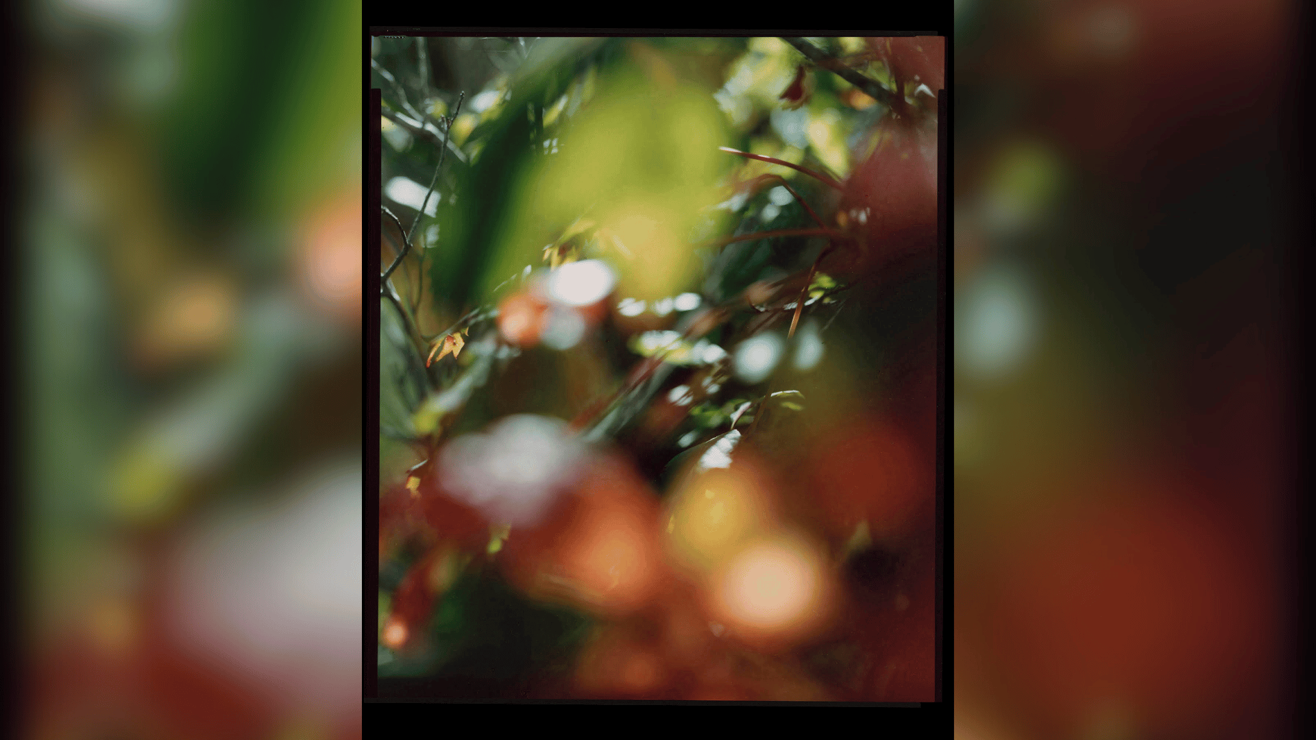 Untitled 2025; Photo: Janelle Lynch