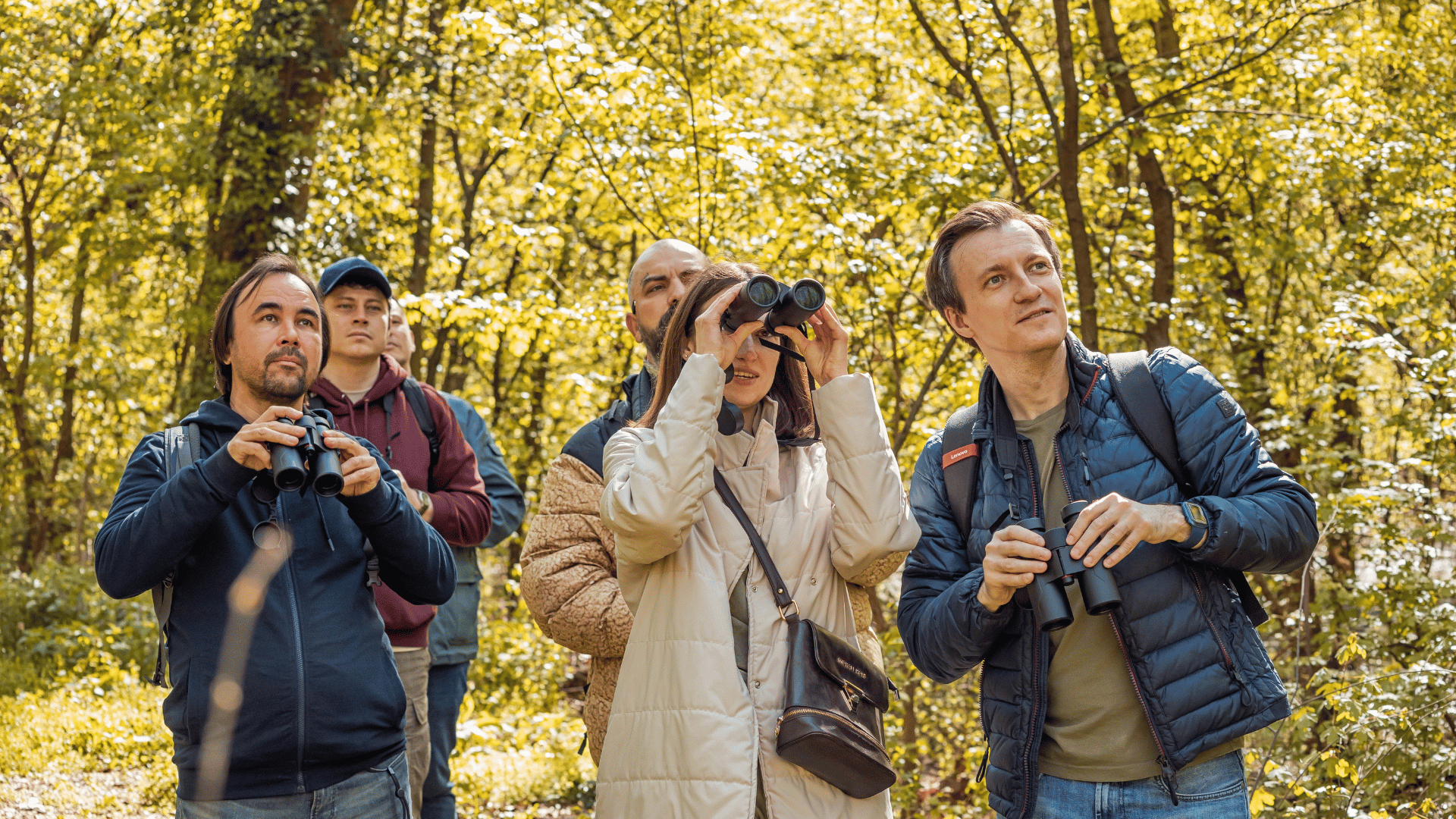 birdwatching group birdwatching group