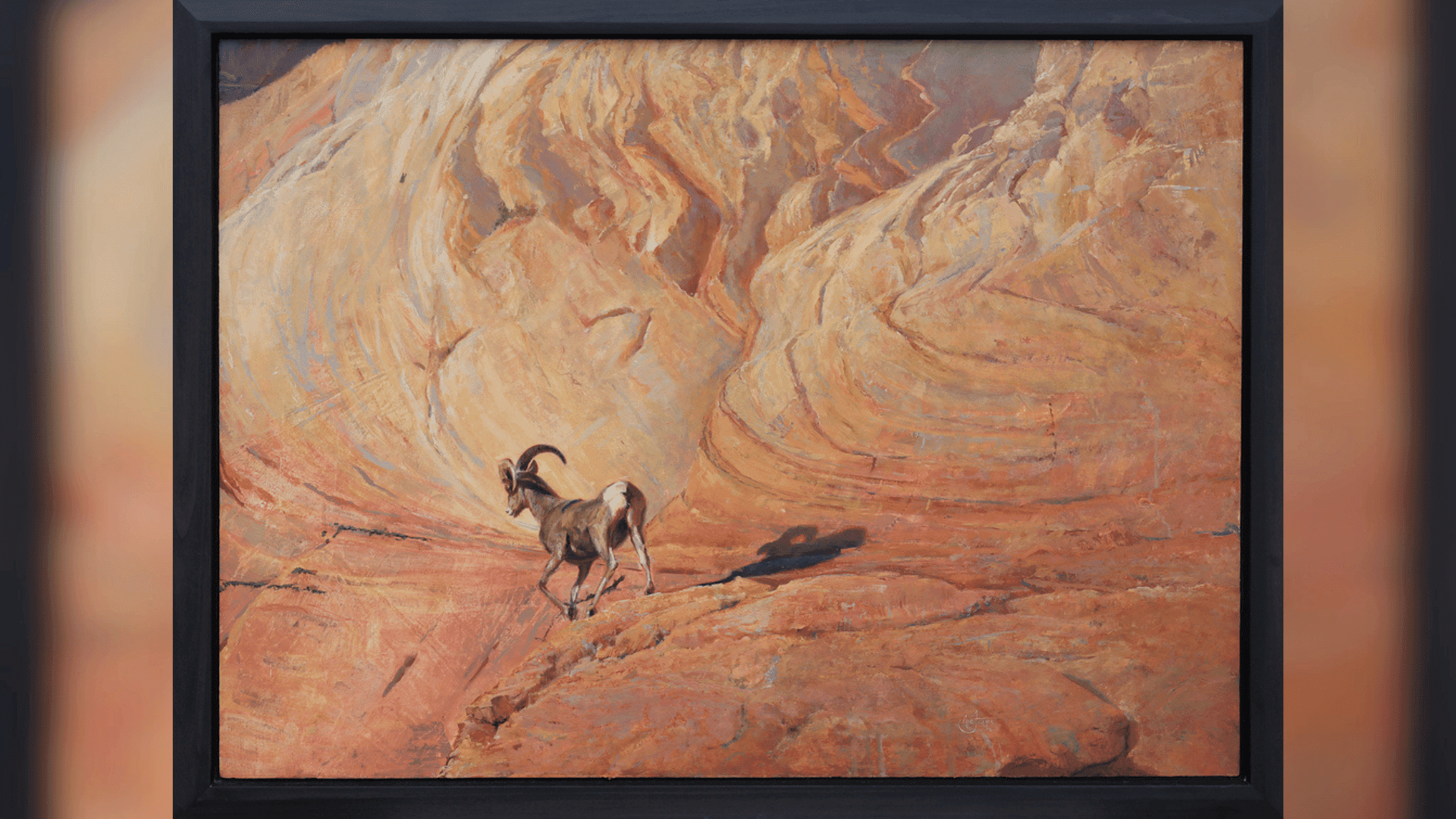 Canyon Ghost; Photo: Nic Fischer