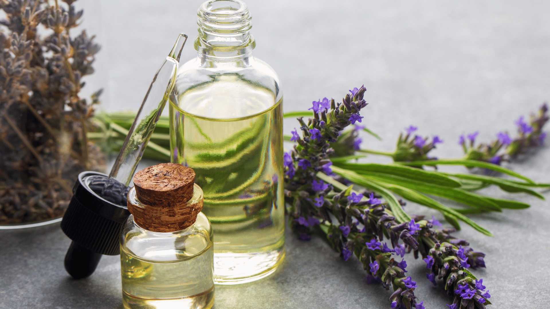 perfume plants; Photo: Esin Deniz:Shutterstock