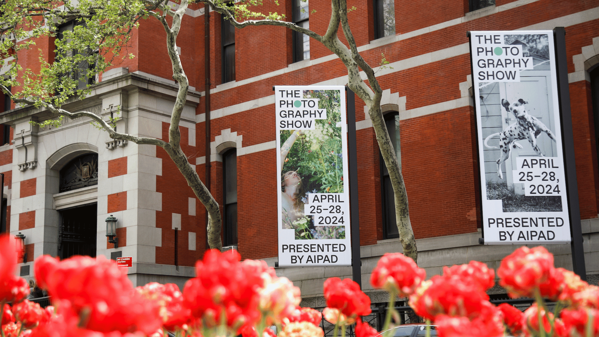 The Photography Show