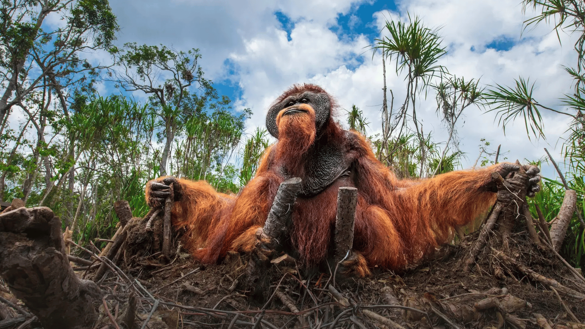 Please spare our home; Photo: Thomas Vijayan