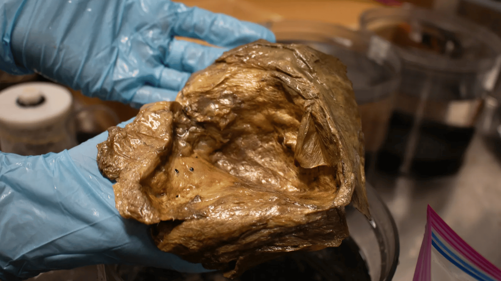 close up image of mysterious golden orb; Photo: NOAA Fisheries