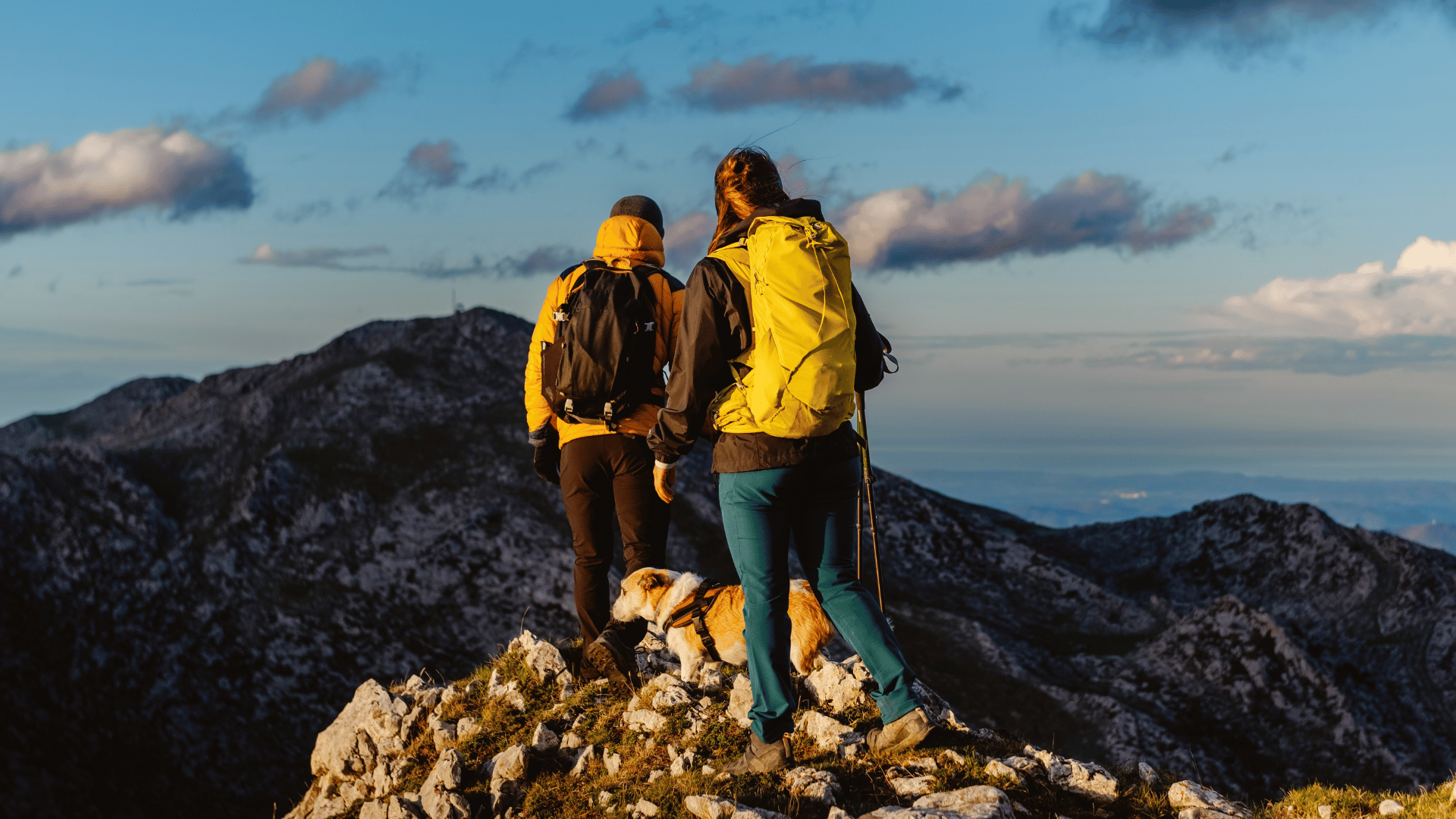 Couple hiking with dog daypack