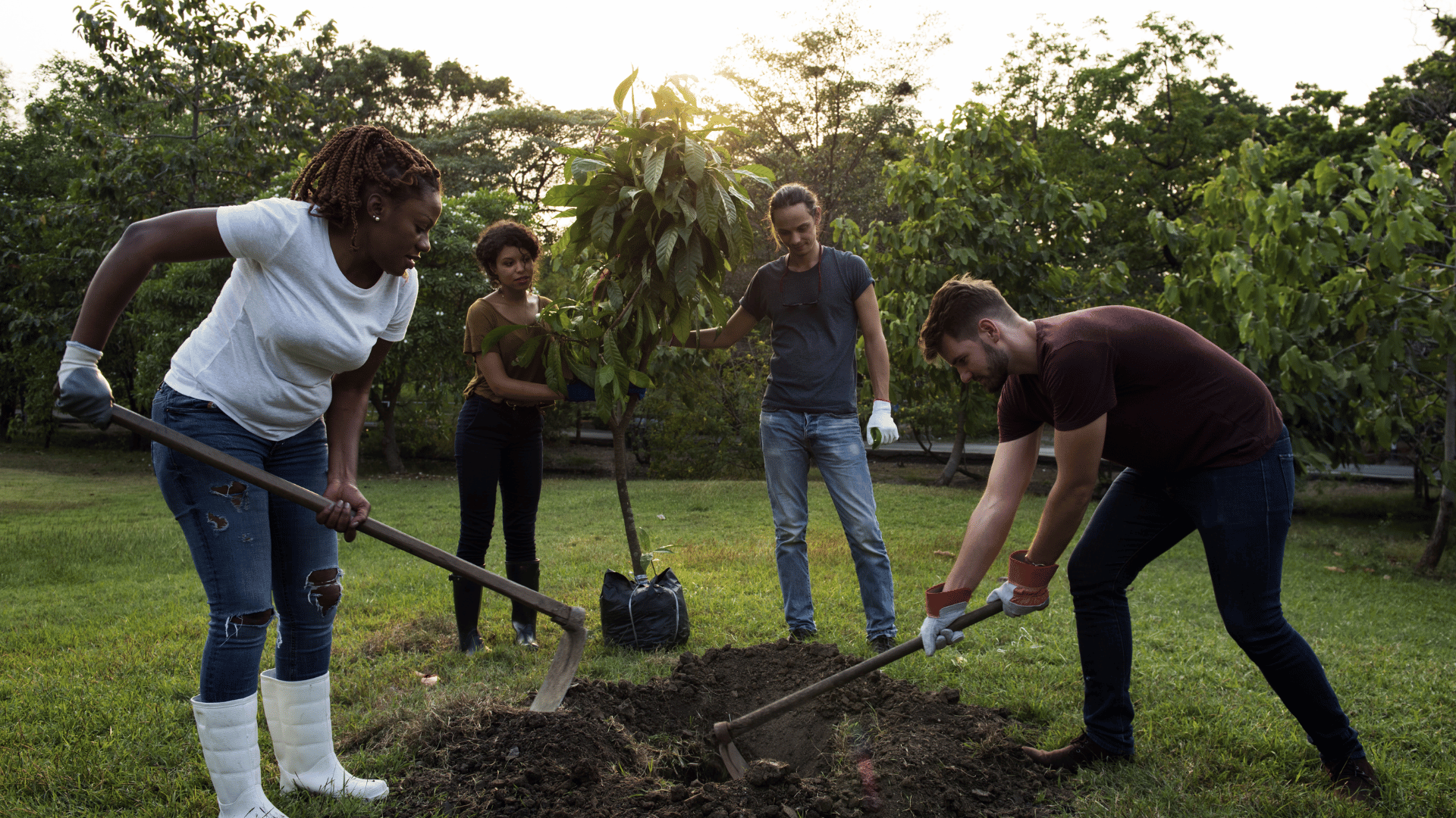 People planting trees; Photo: Rawpixel.com:Shutterstock