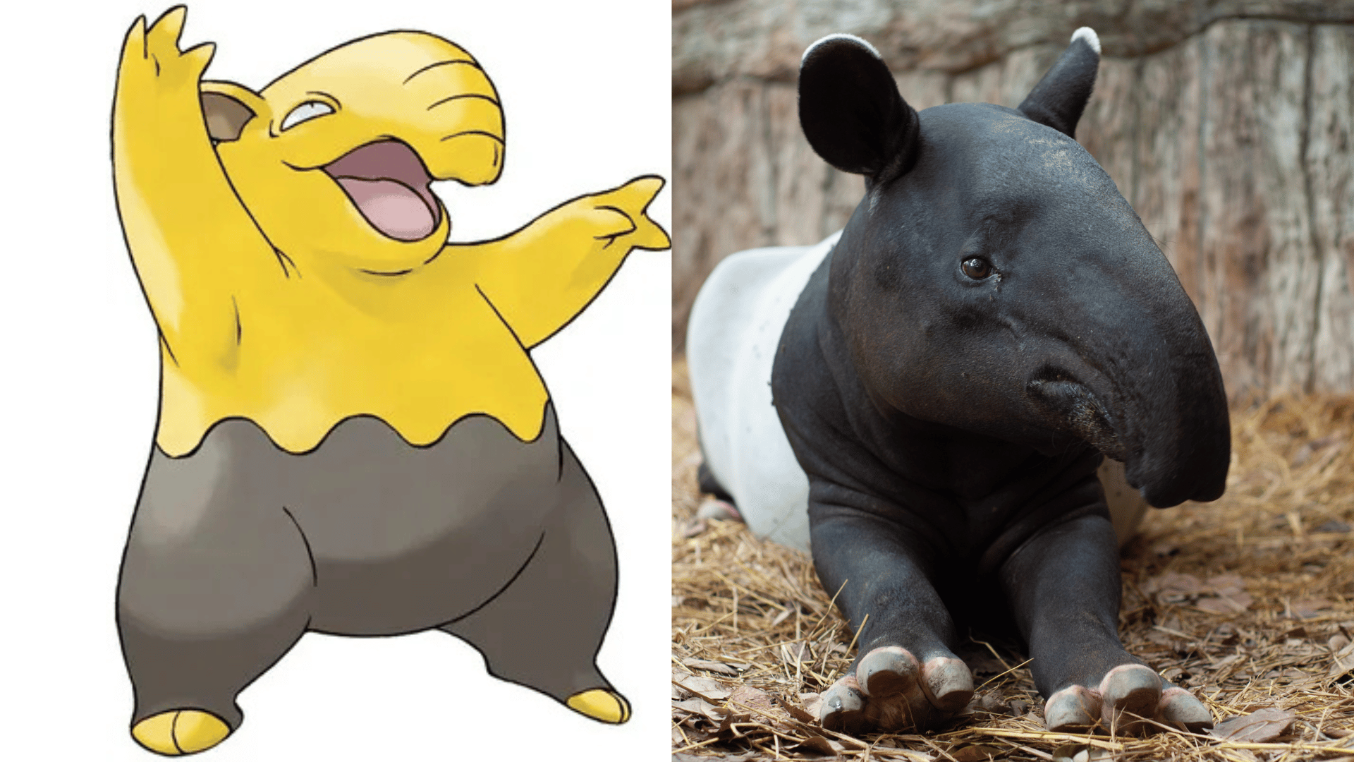 Drowzee - Malayan Tapir