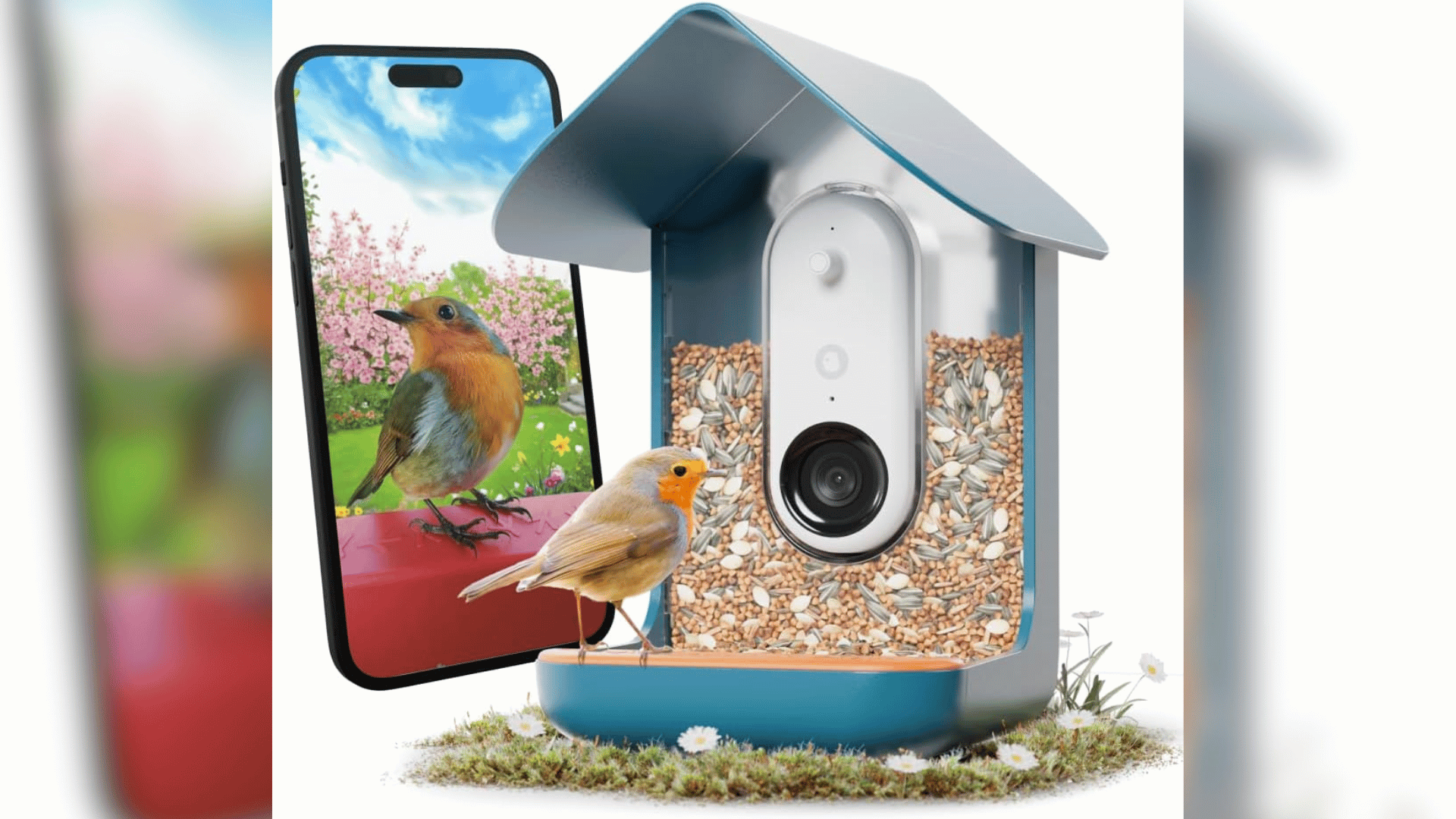 birdbuddy