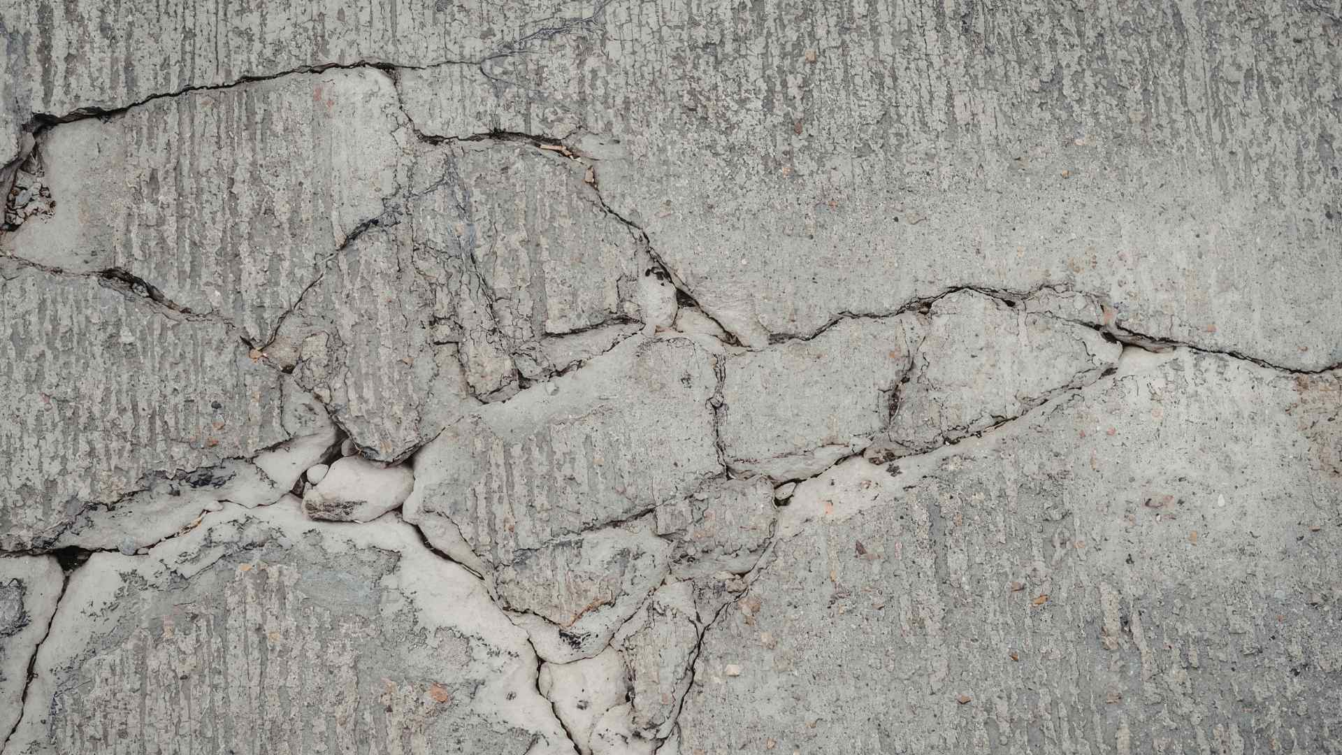 bacteria and concrete