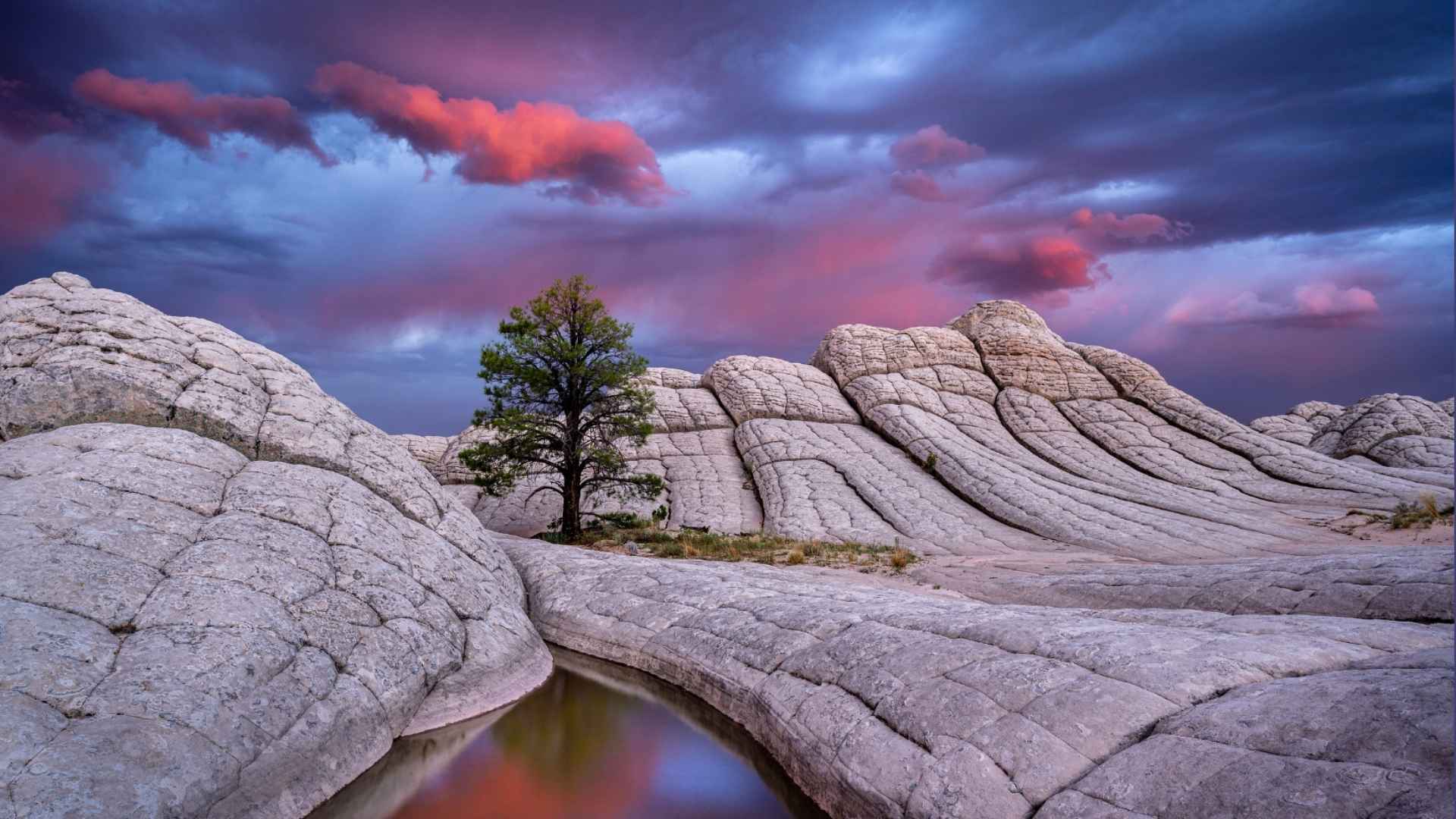 photographer jessica fridrich