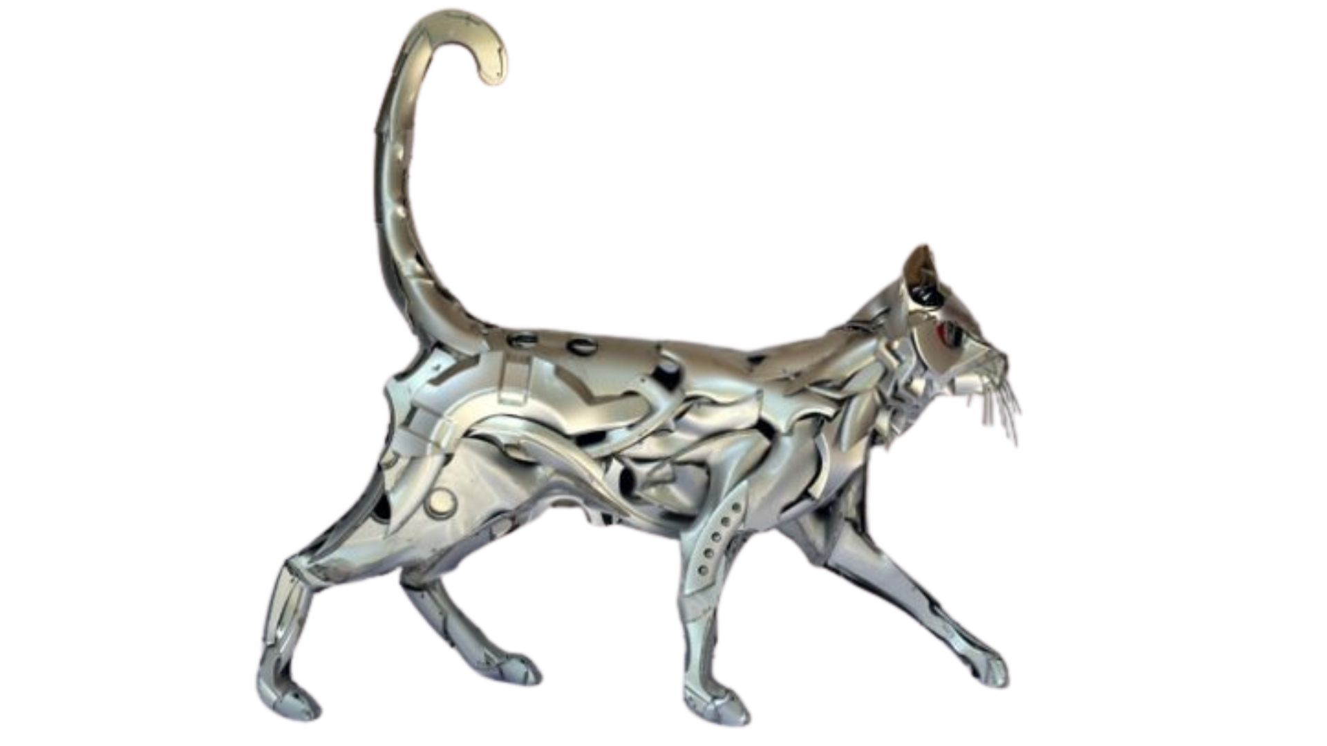 HubCap Cat