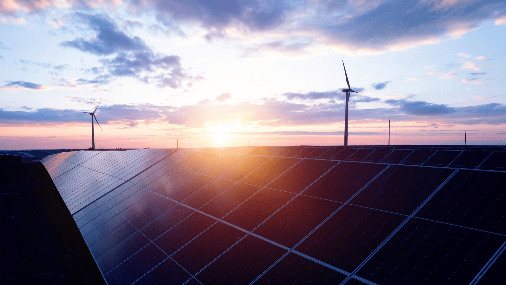 solar farm