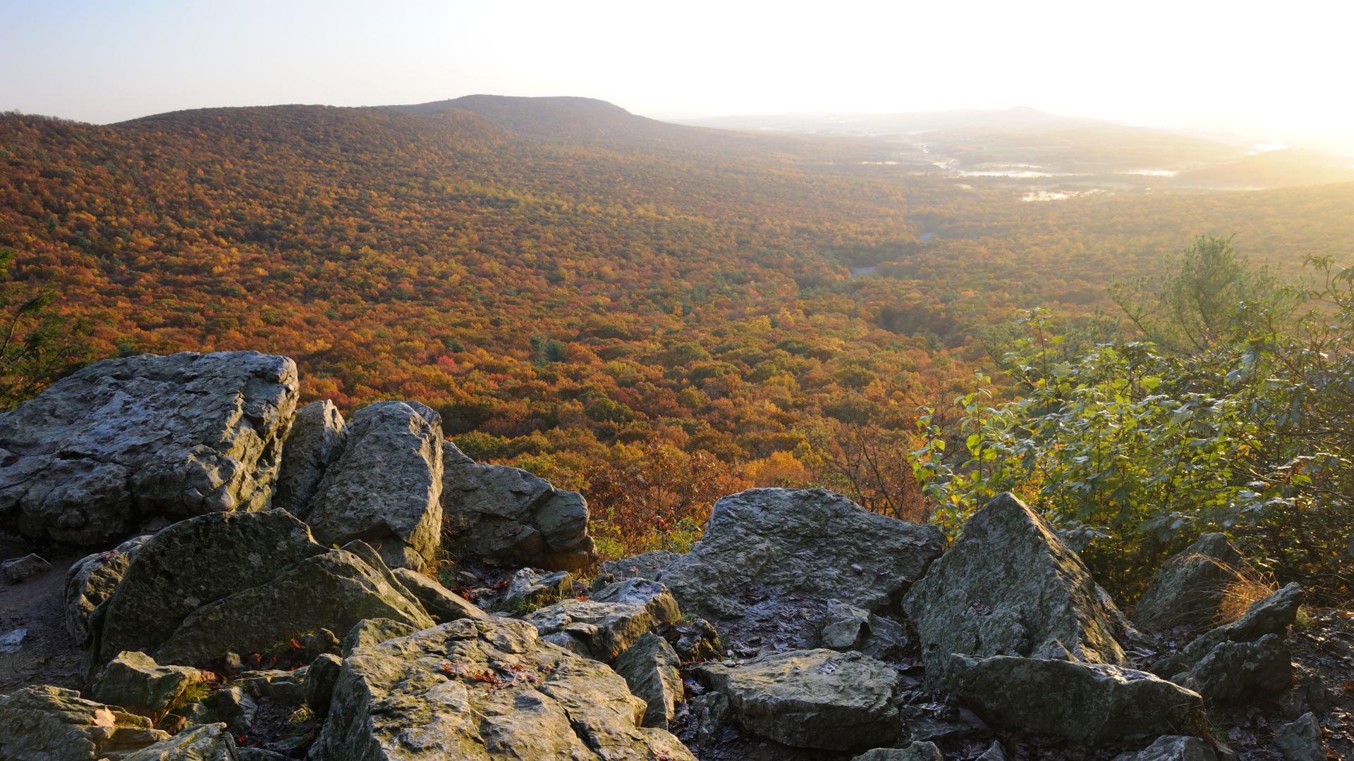 Hawk Mountain Sanctuary