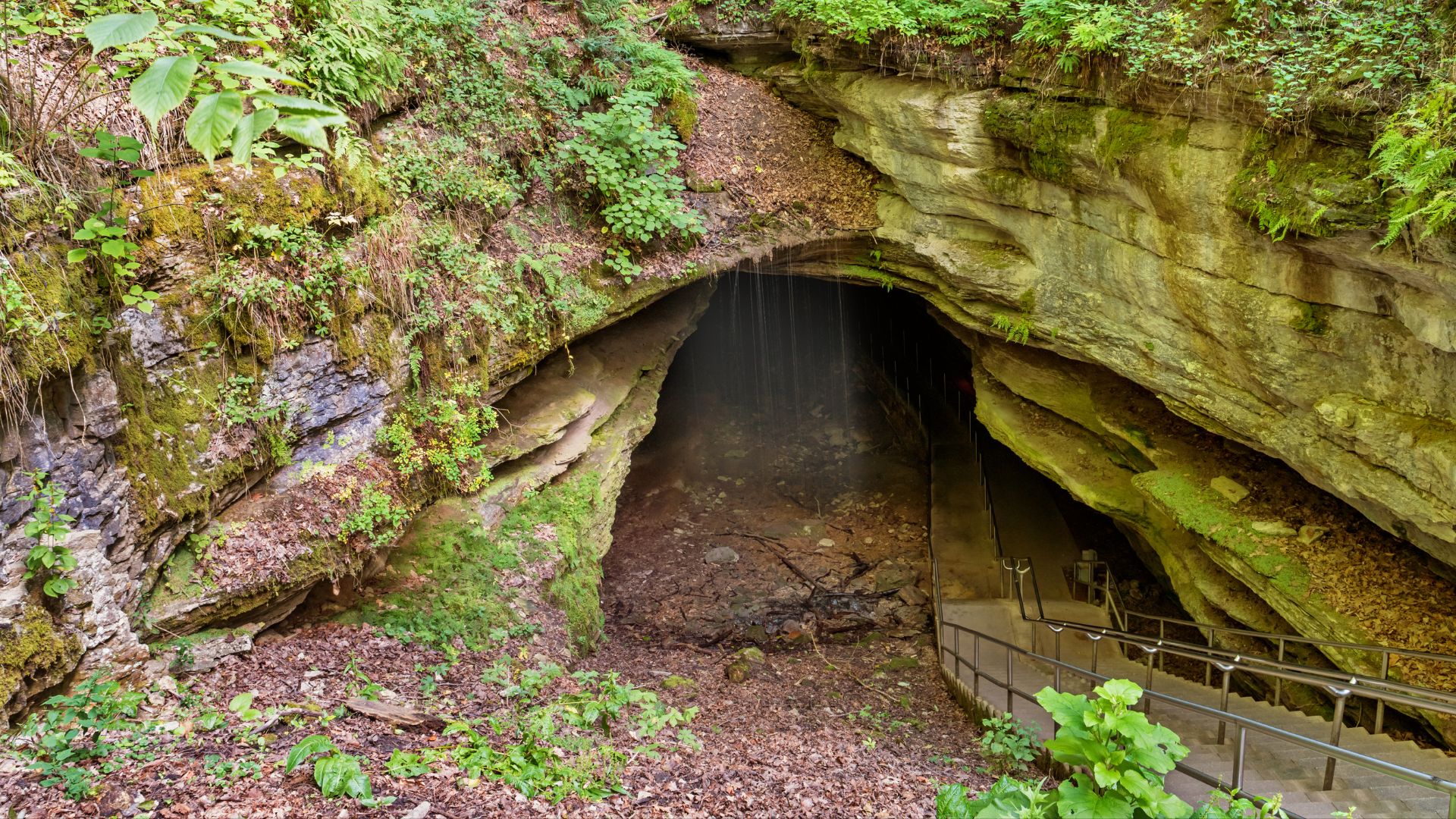 Mammoth cave
