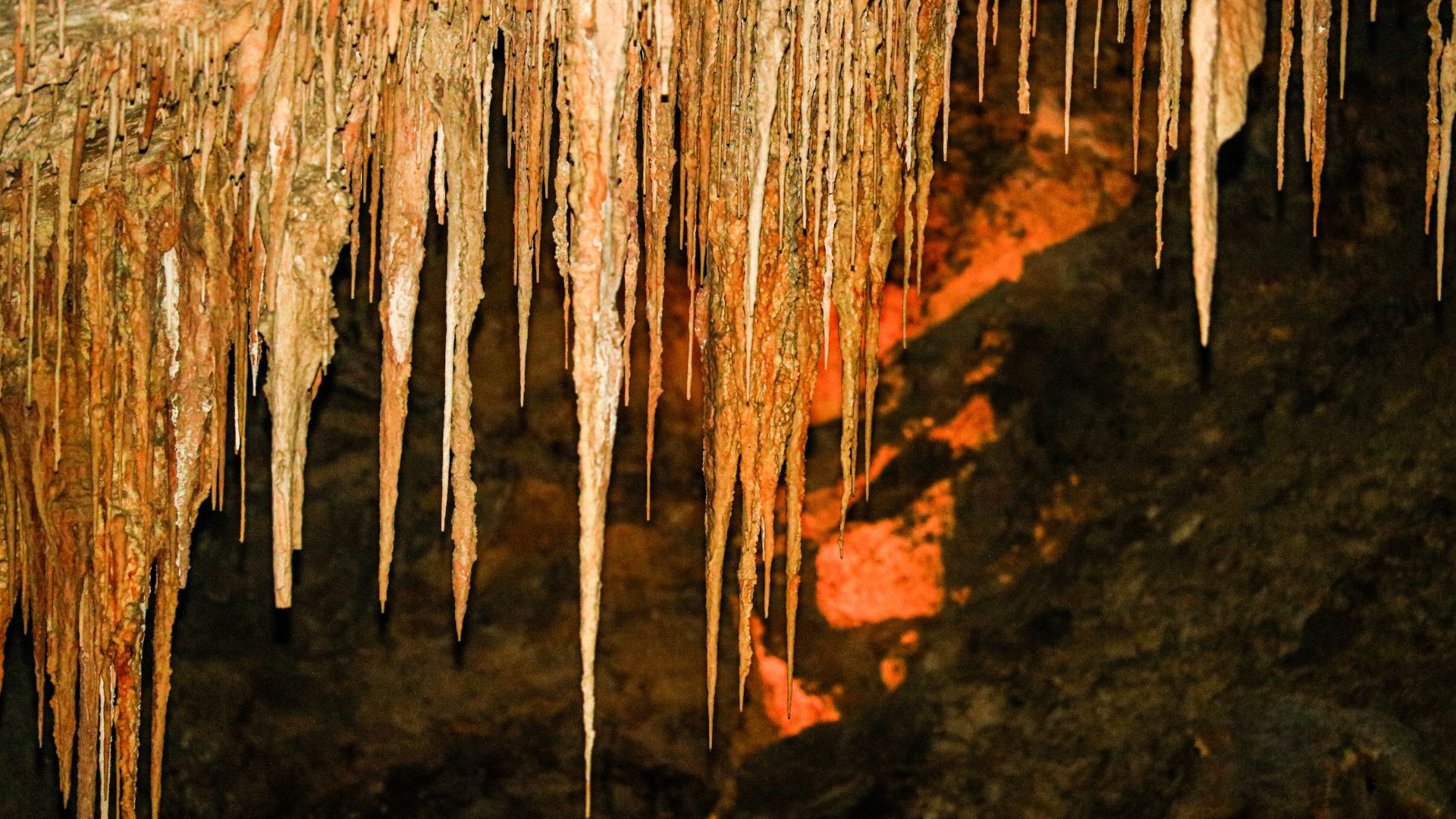 Mammoth cave