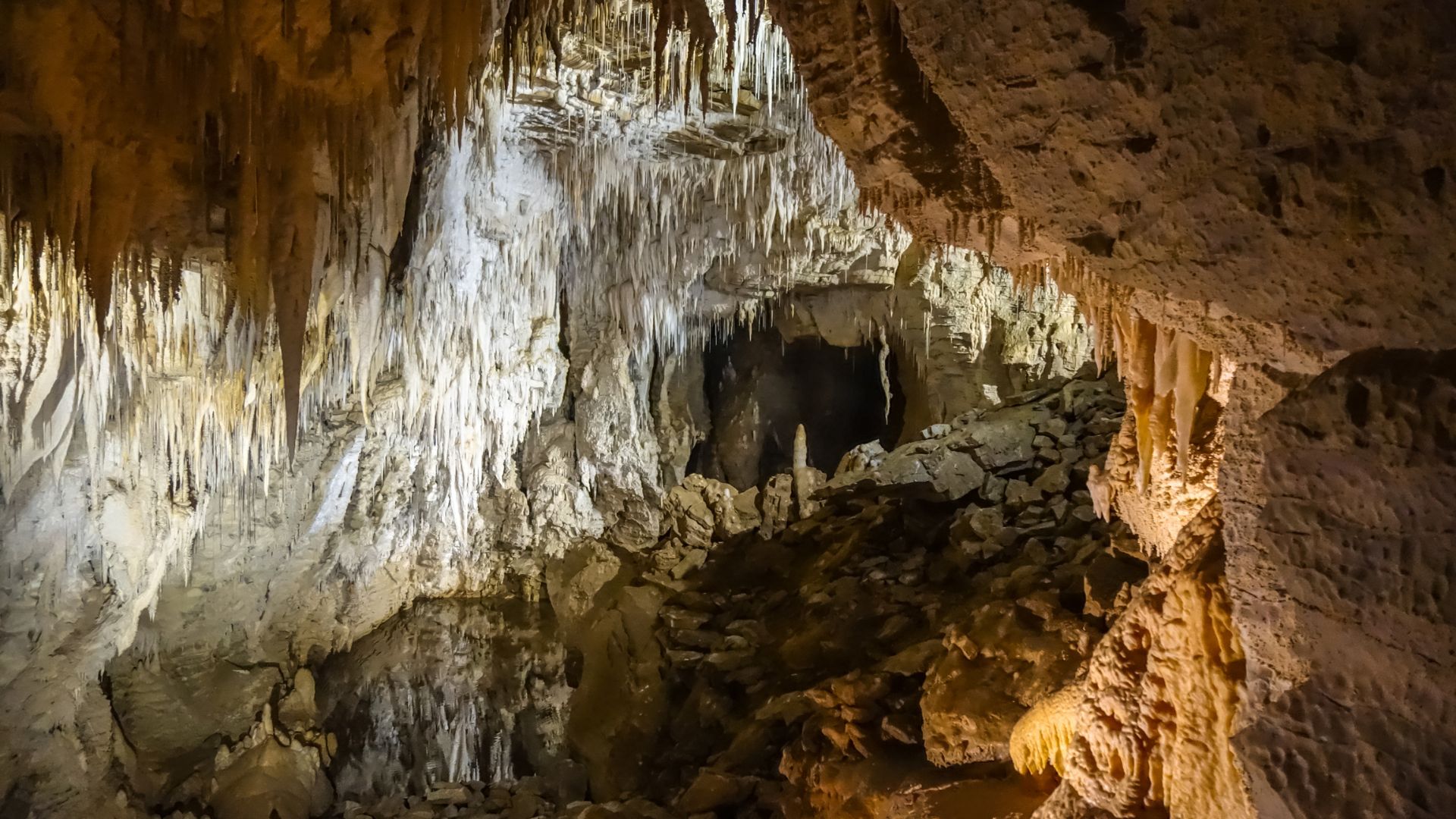 Waitomo Caves
