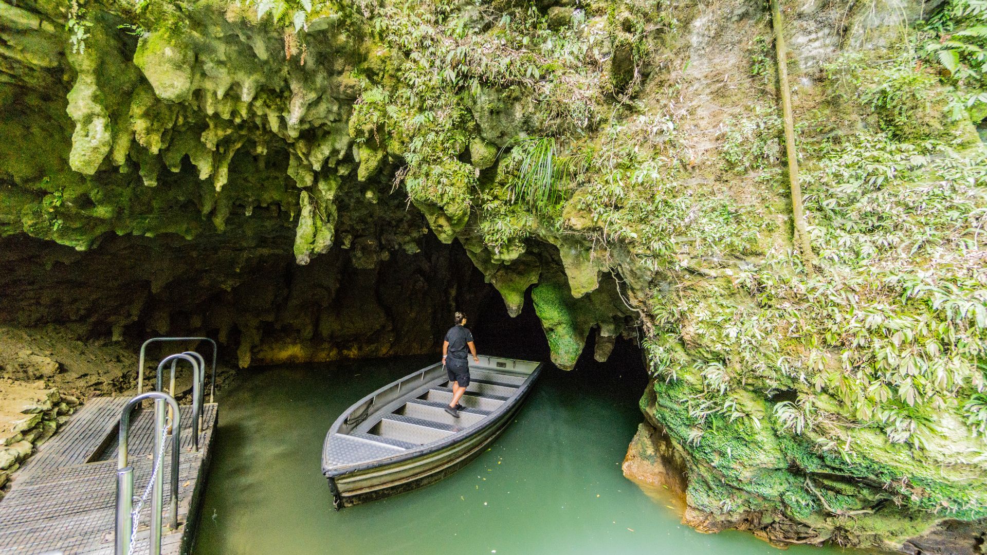 Waitomo Caves