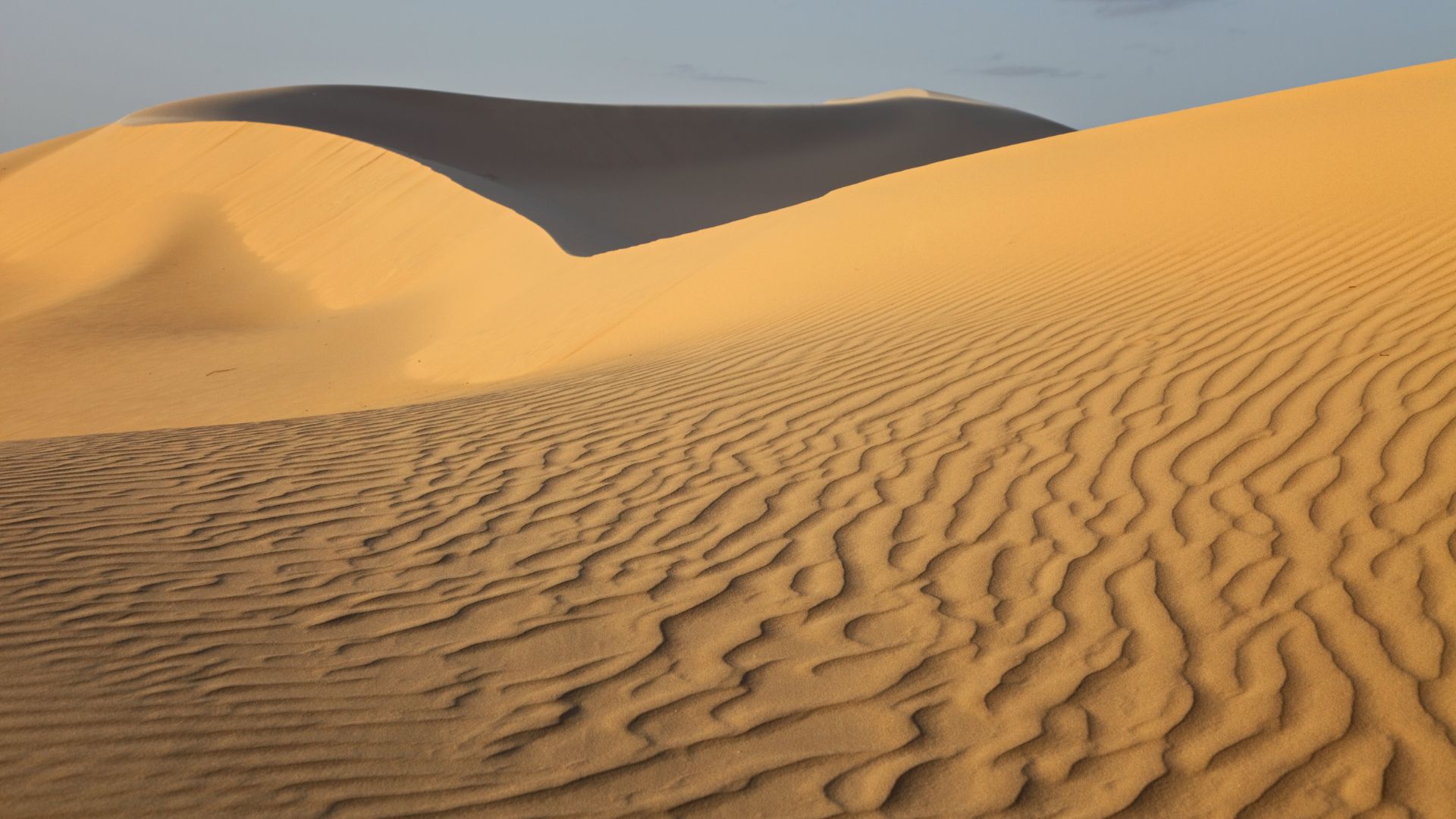Monahans Sandhills